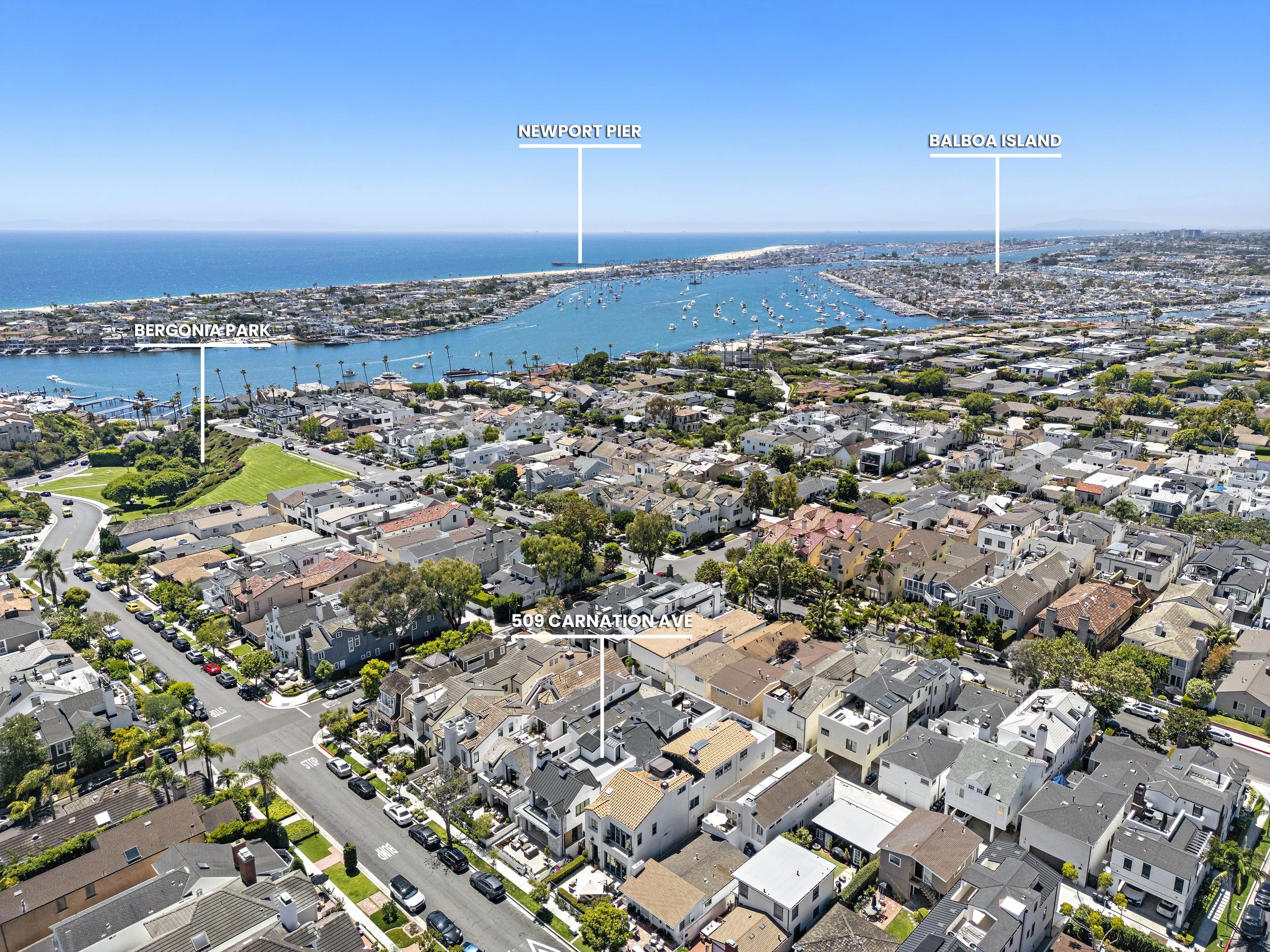 56-print-509 Carnation GEOTAG .jpg