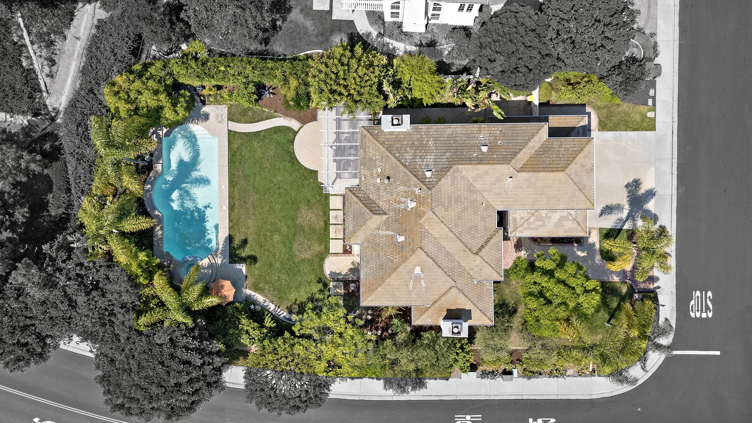 26-print-17 Brigadier COLOR SPLASH 1.jpg