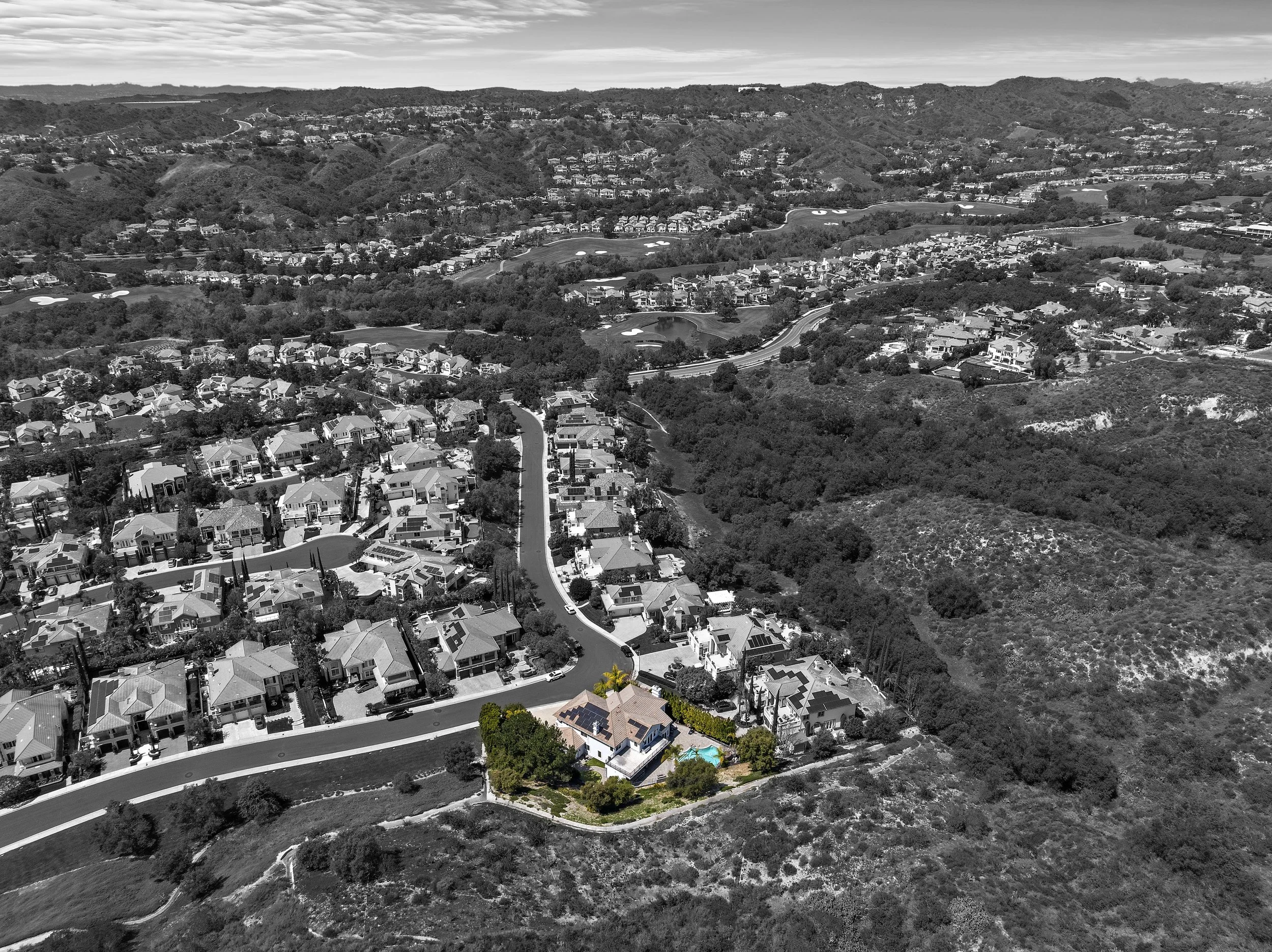 1-print-22 Van Gogh COLOR SPLASH.jpg