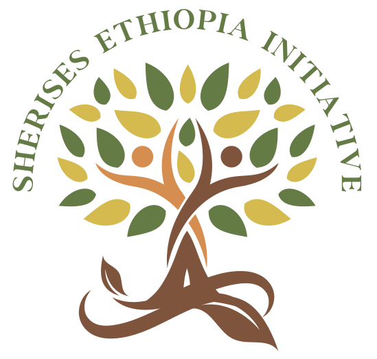 SheRises Ethiopia Initiative