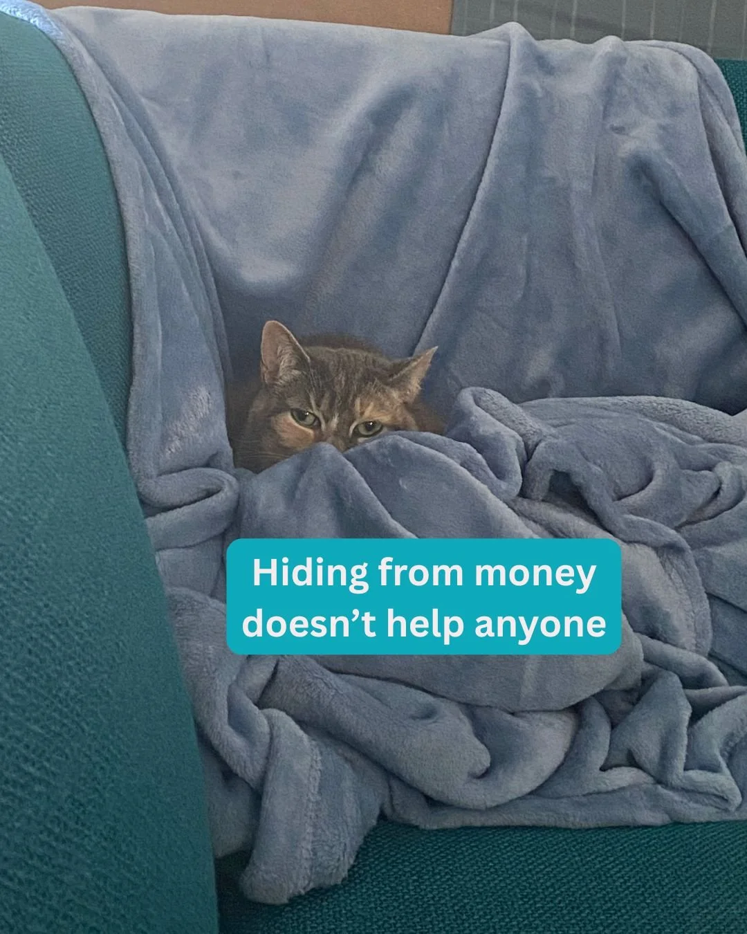 Photo of a housecat half-hidden by a blanket. Text reads: hiding from money doesn't help anyone