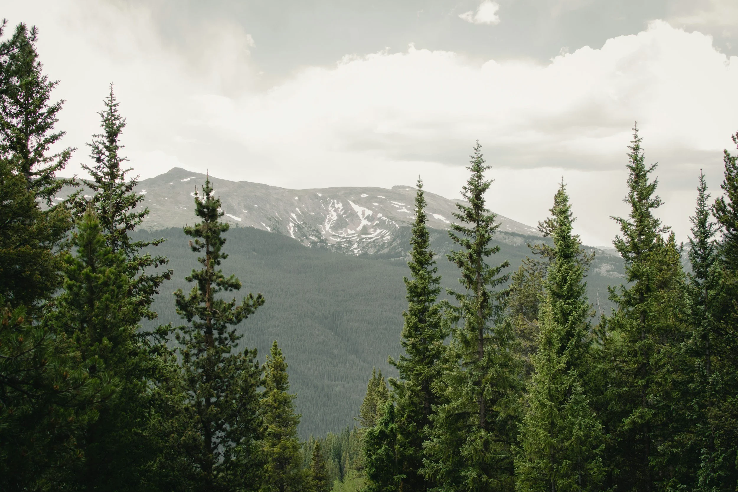 A scenic mountain landscape with evergreen trees in the foreground, mountains in the background, and a cloudy sky overhead.