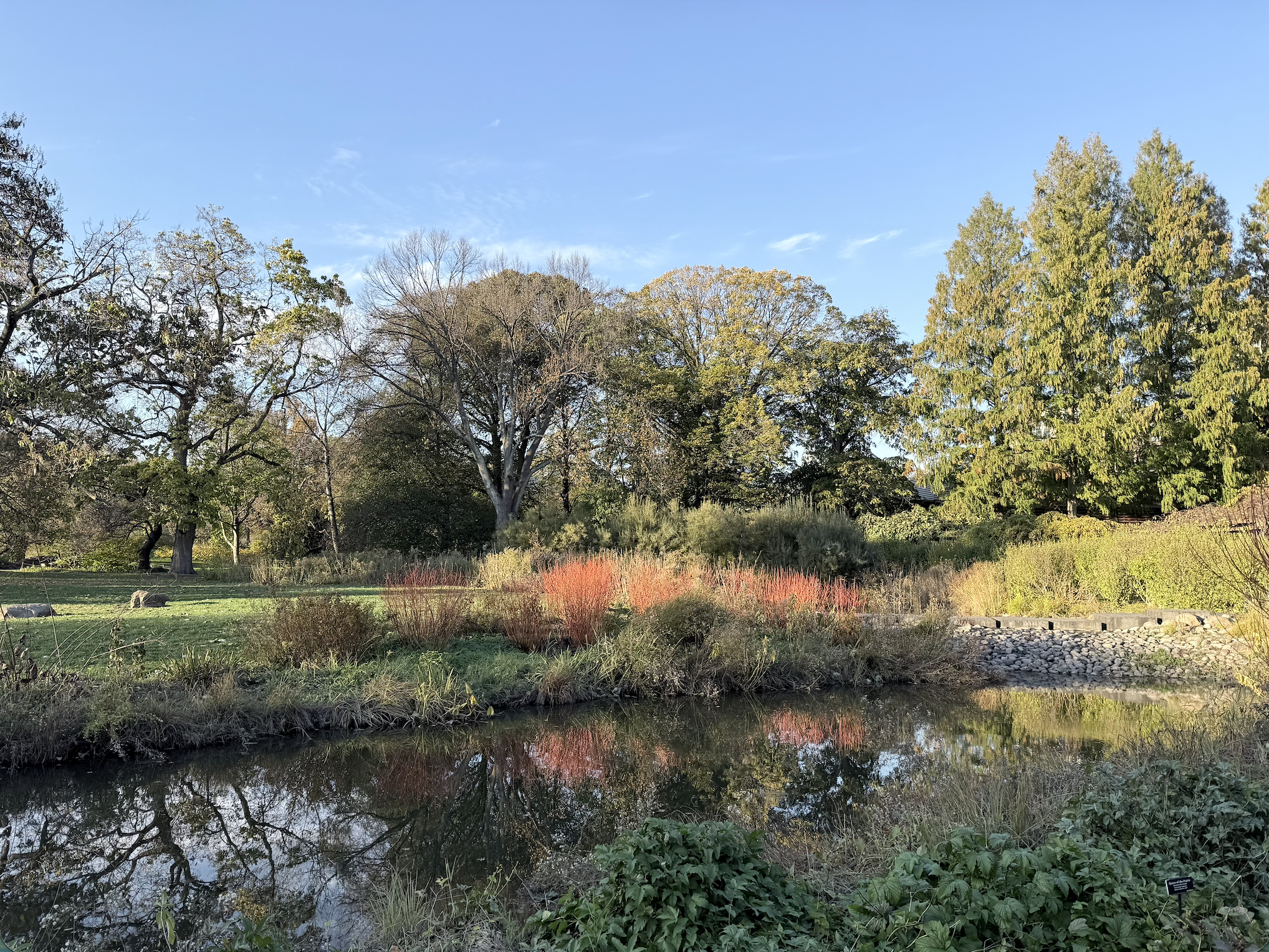 Screenshot 2026-04-03 at 8.46.41 pm.png