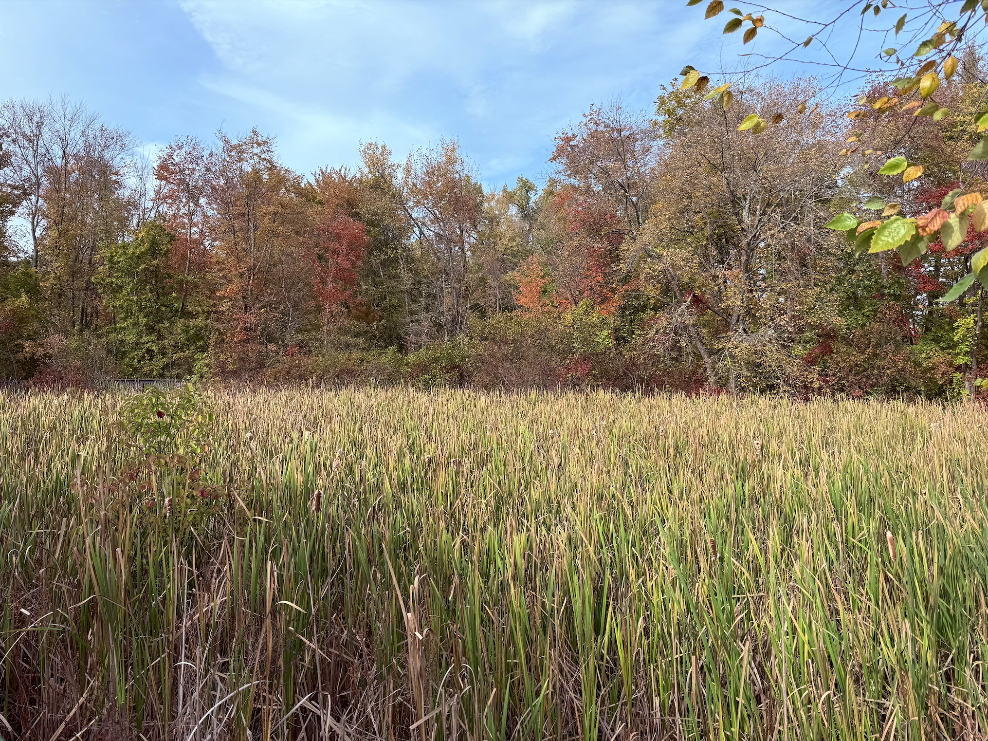 Screenshot 2026-04-03 at 8.49.00 pm.png