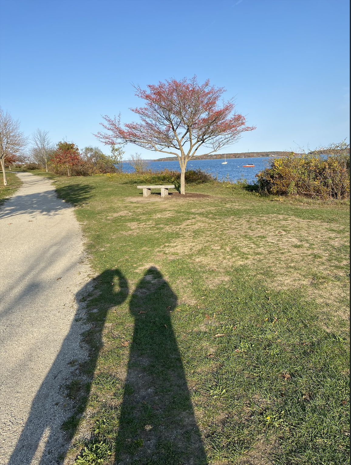 Screenshot 2026-04-03 at 8.54.21 pm.png