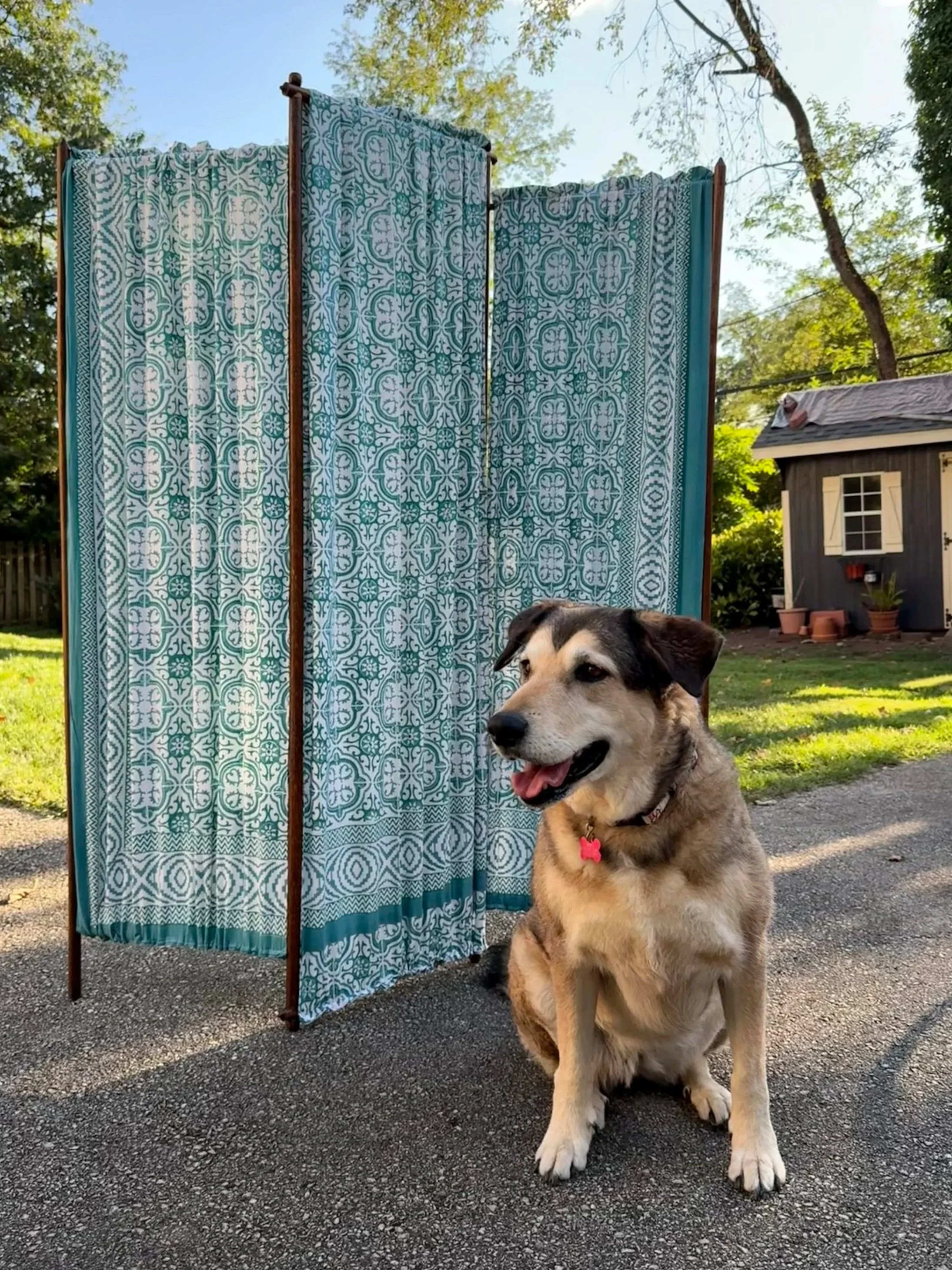 A happy dog with black and tan fur sits outdoors on a paved surface in front of a decorative teal and white patterned outdoor privacy screen, with a backyard featuring green grass, trees, and a small outbuilding in the background.