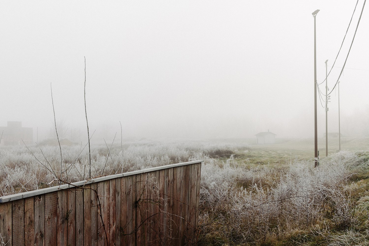 Blurred line,hard cut_03.jpg