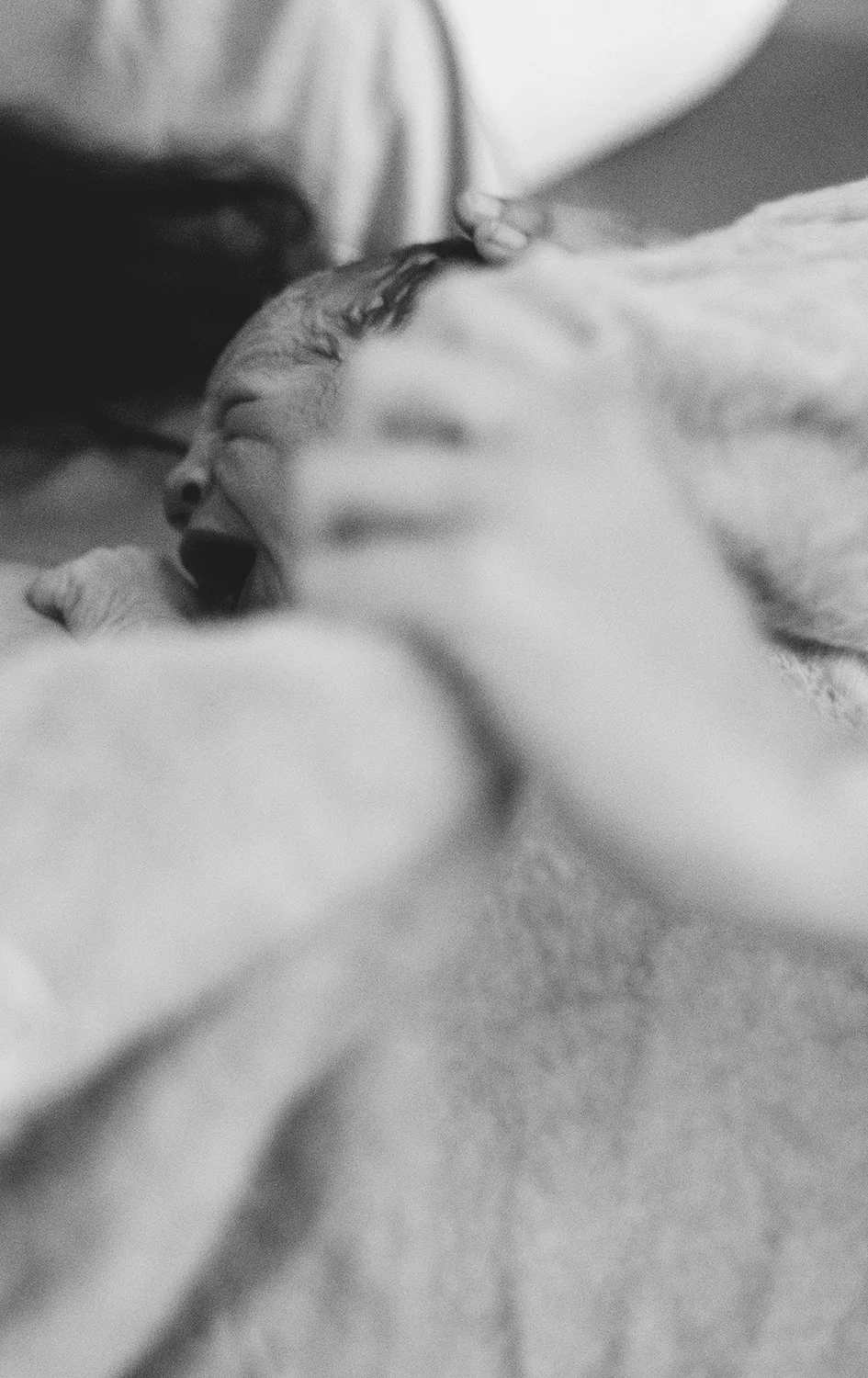 © Julie Scheurweghs