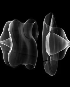 Fernando Marante [Martin Heidegger]