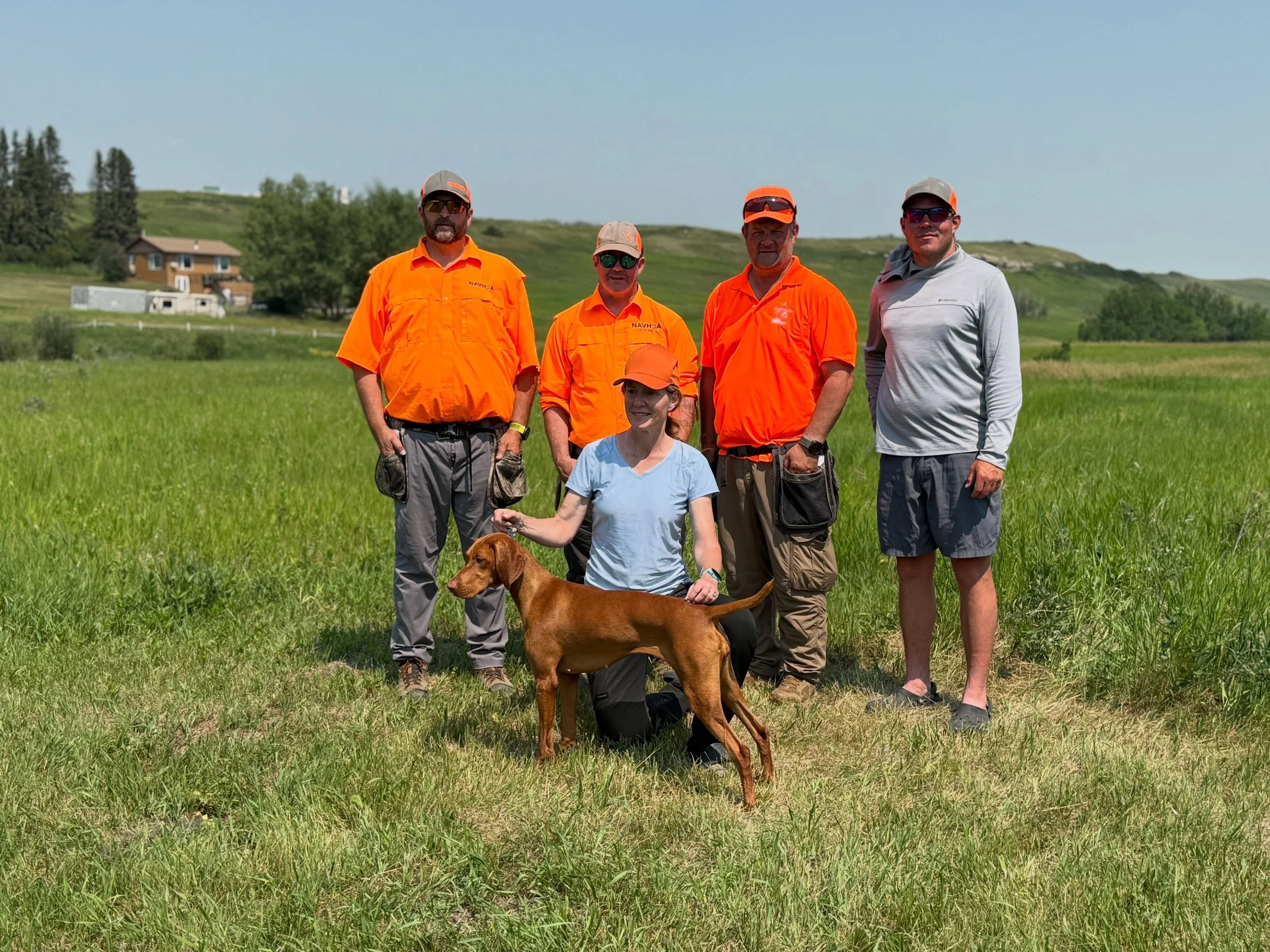 Roxy Earns a Prize I at the Wild Rose NAVHDA Gun Dog Test