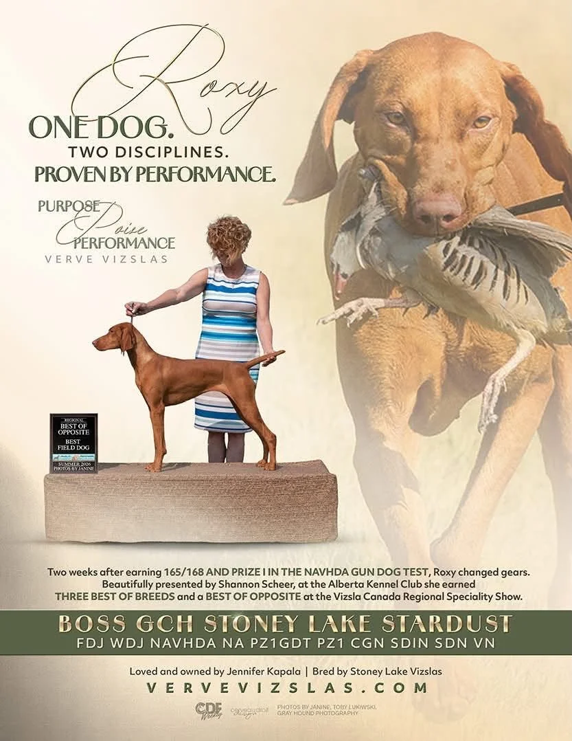 A Weekend to Remember: Roxy Continues to Shine