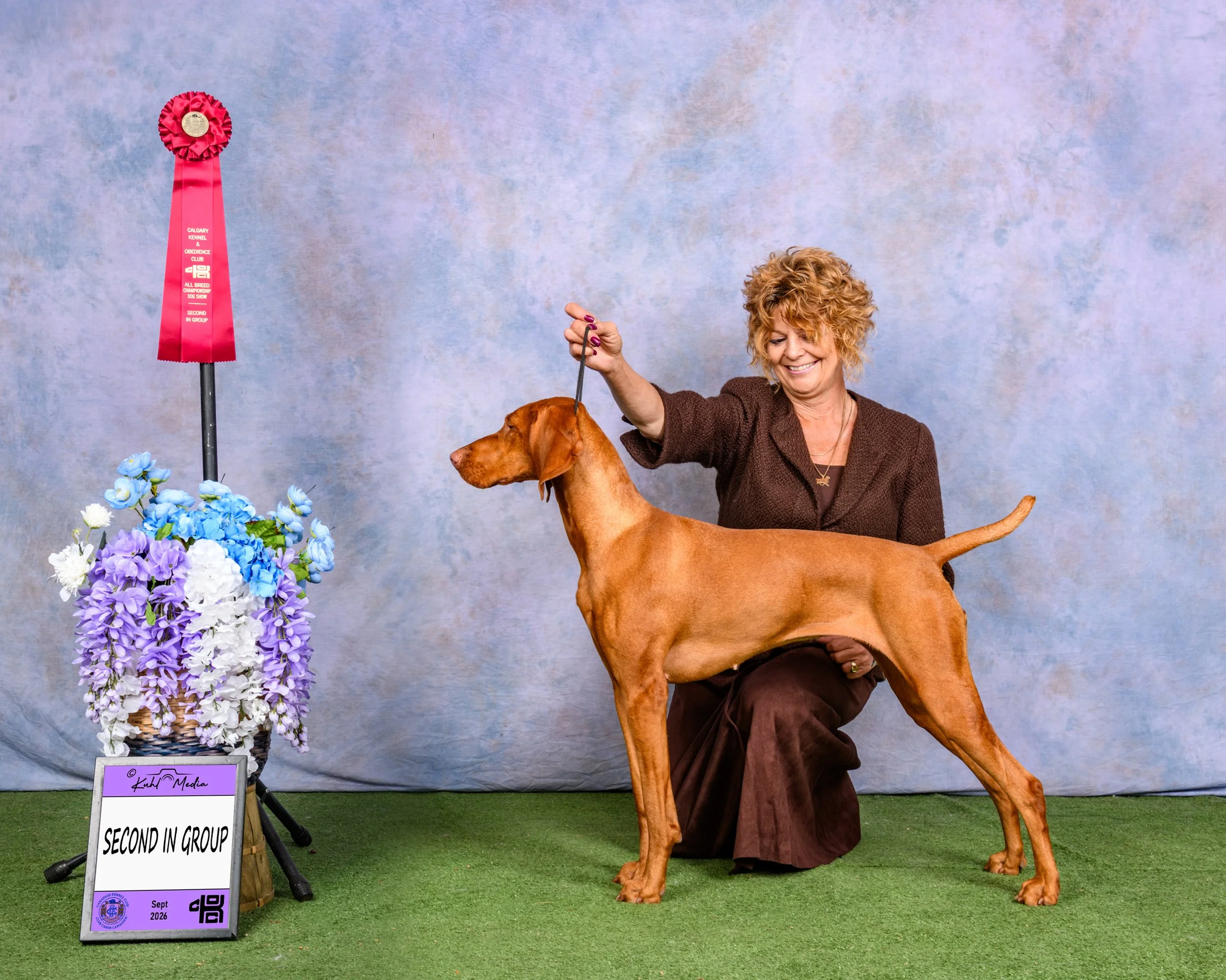 Roxy Earns Three Group Placements at CKOC and Finishes Her CKC Bronze Grand Championship