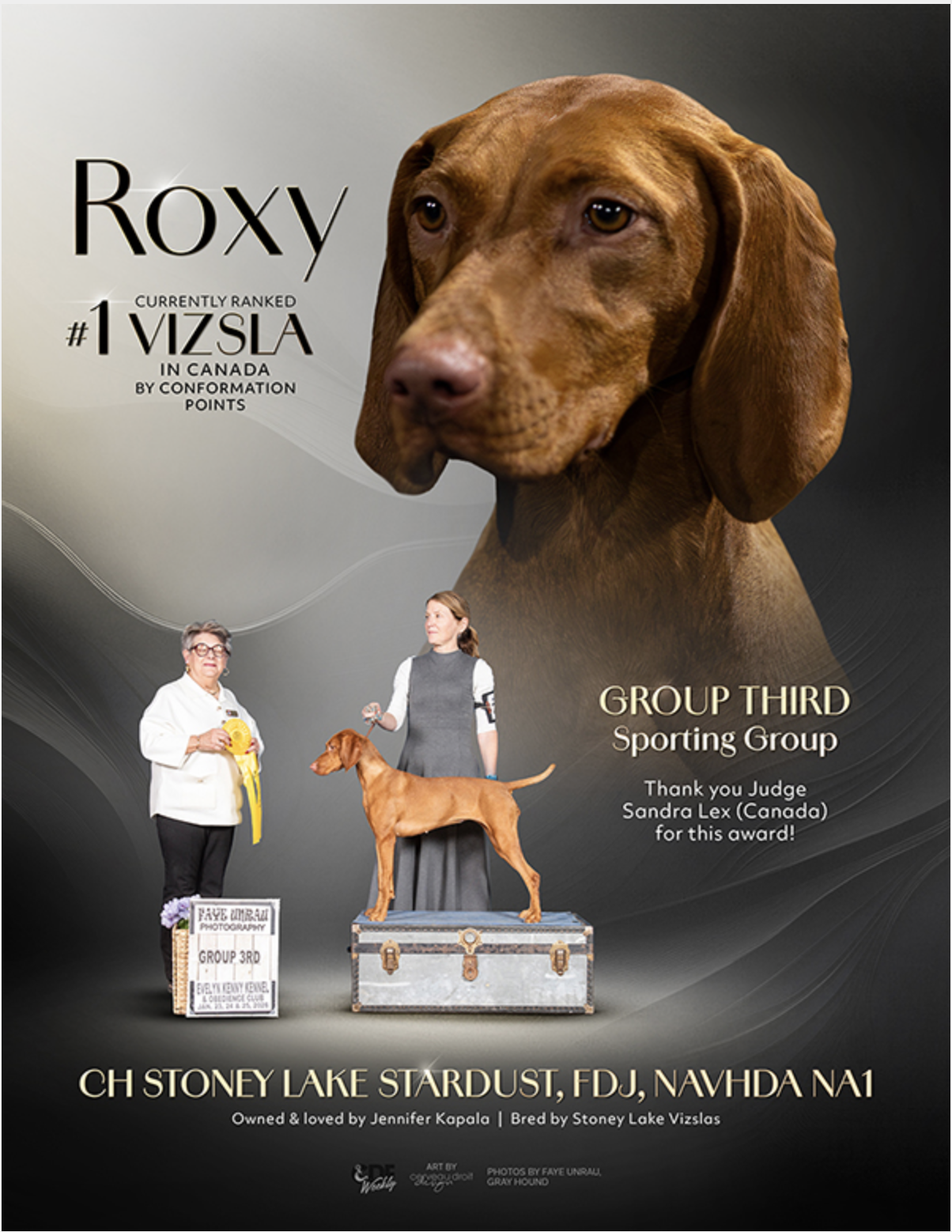 Award certificate featuring a large image of a brown dog, with two women standing below, one holding a yellow ribbon and the other with a dog standing on a platform. Text indicates the dog, Roxy, is ranked #1 in Canada for conformation points, won third place in a sporting group, and mentions the owner and breeder information.