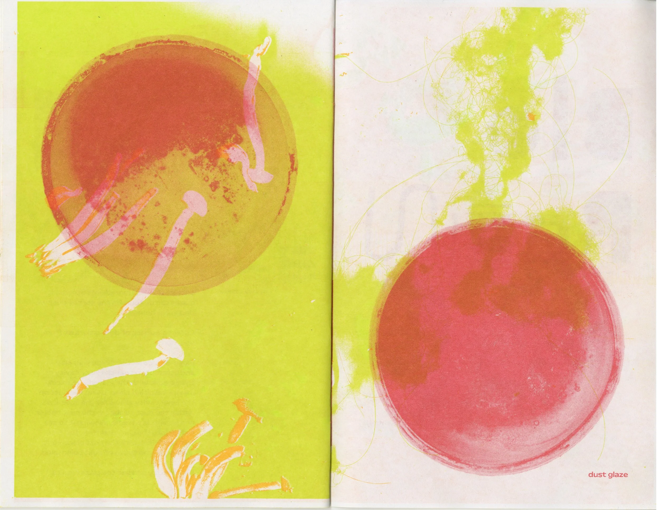 SCANNED RECIPES FOR SUSTAINABILITY16.jpg