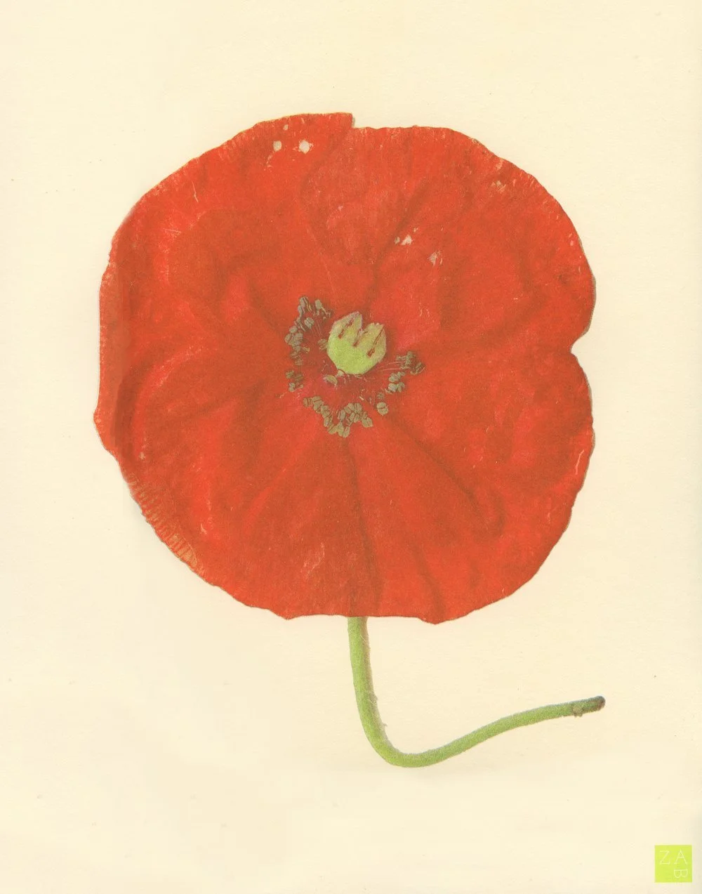 Poppy Riso Print