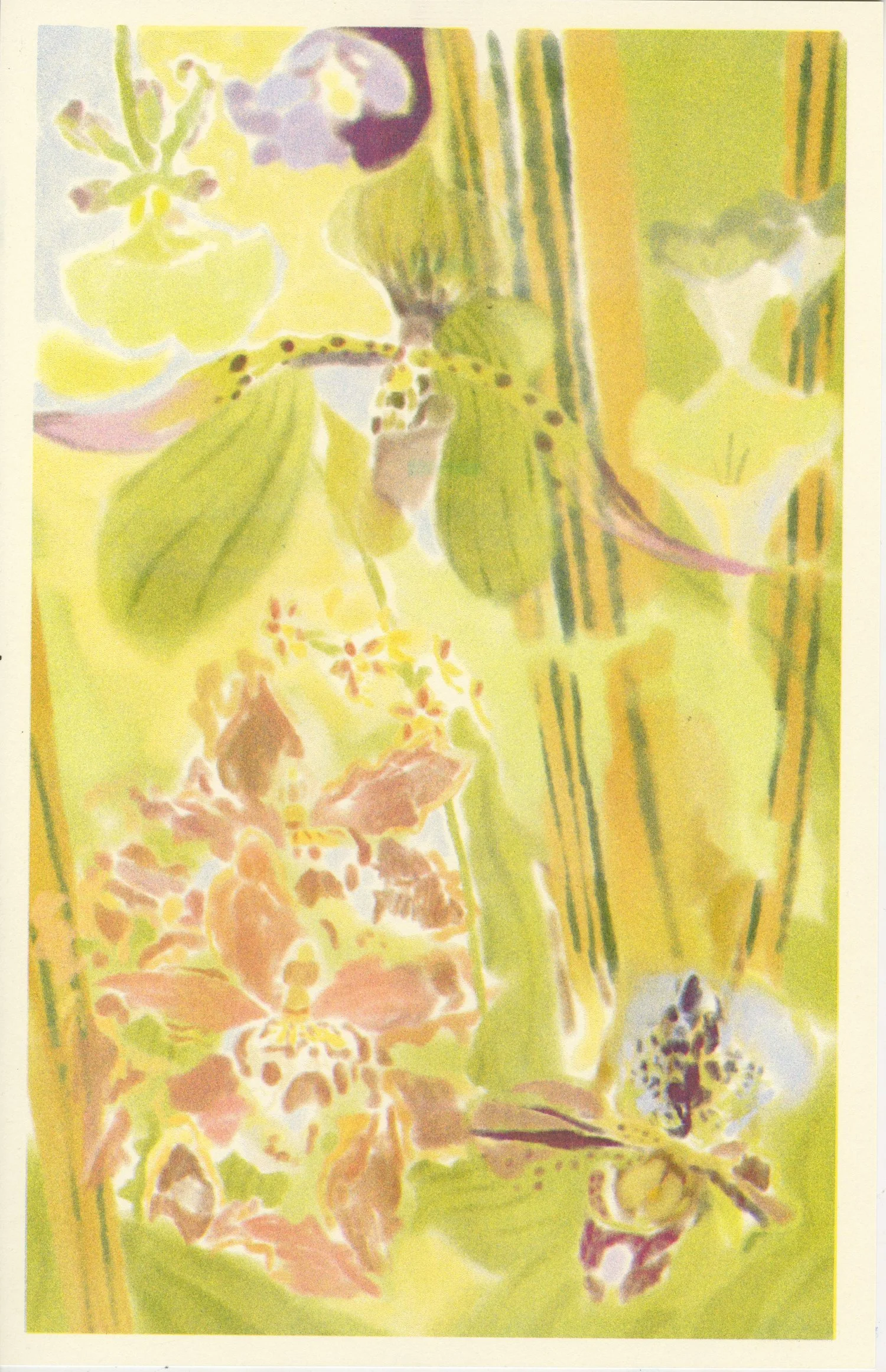 Orchids Riso Print