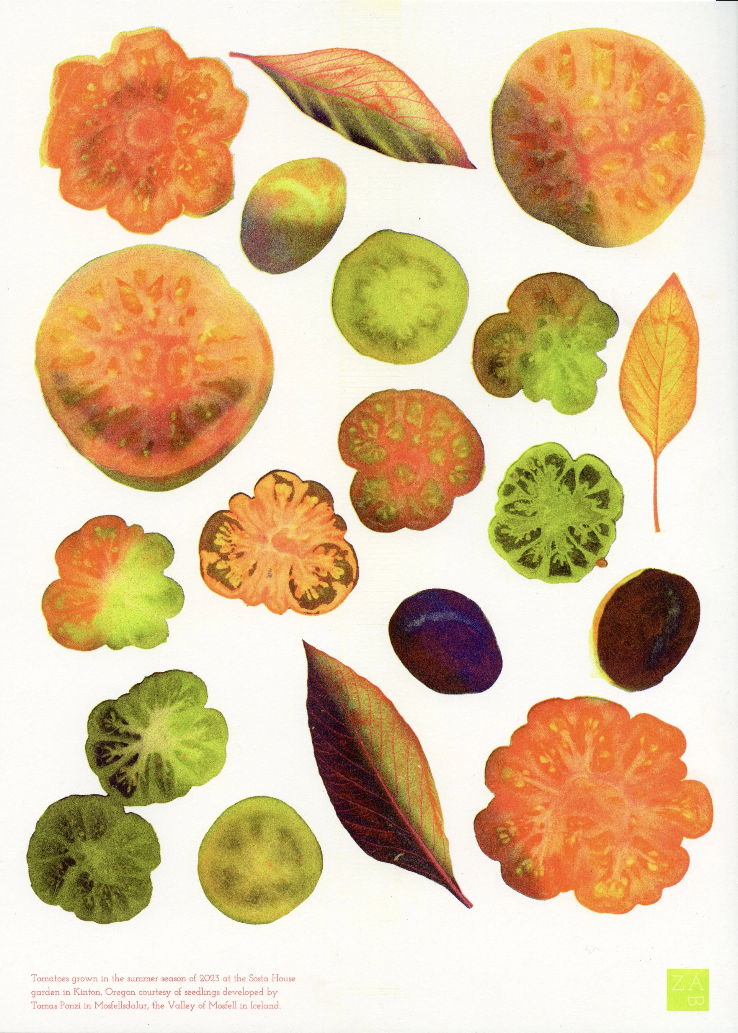 image-2d3acb21-12fb-4226-a186-7eca85204d30 (1).jpg