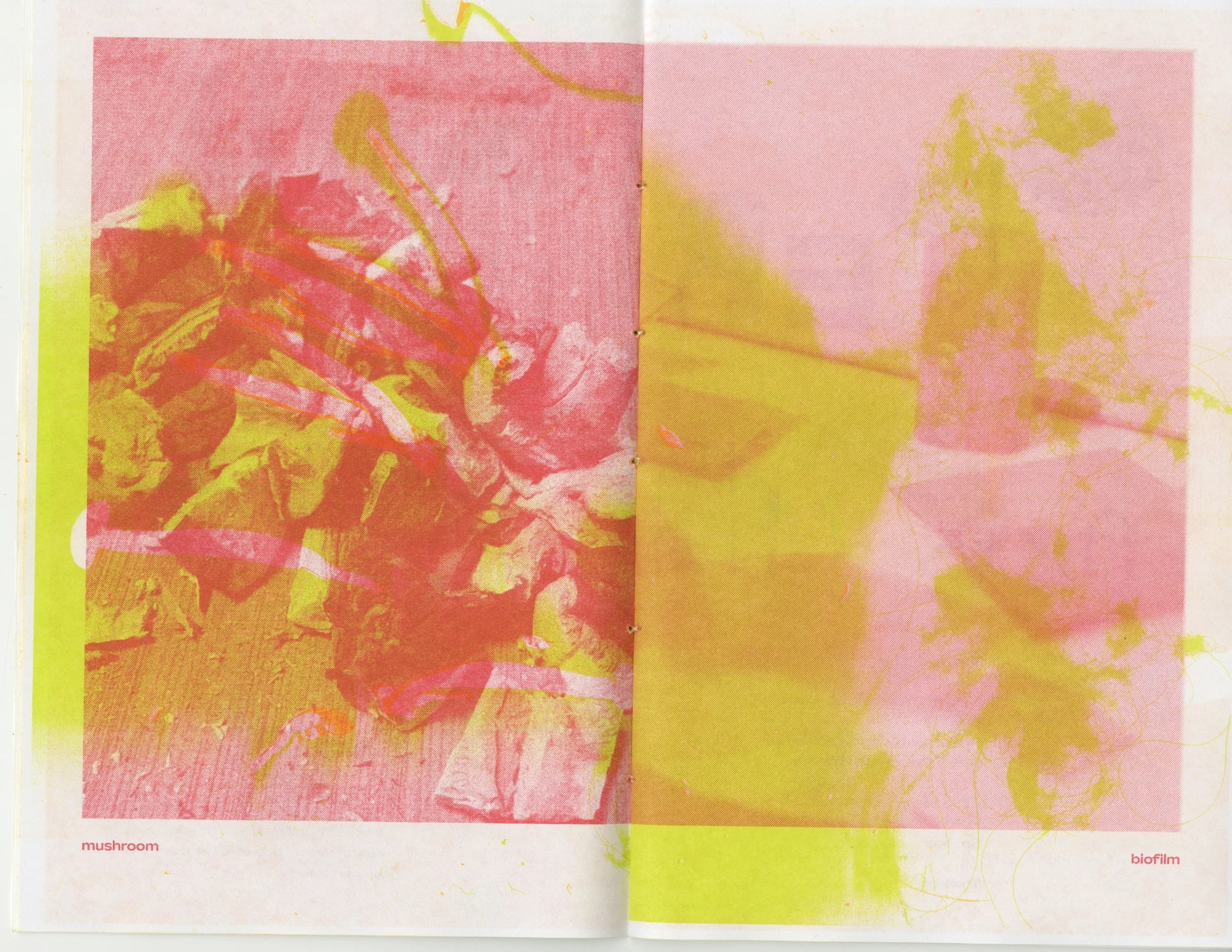 SCANNED RECIPES FOR SUSTAINABILITY6.jpg