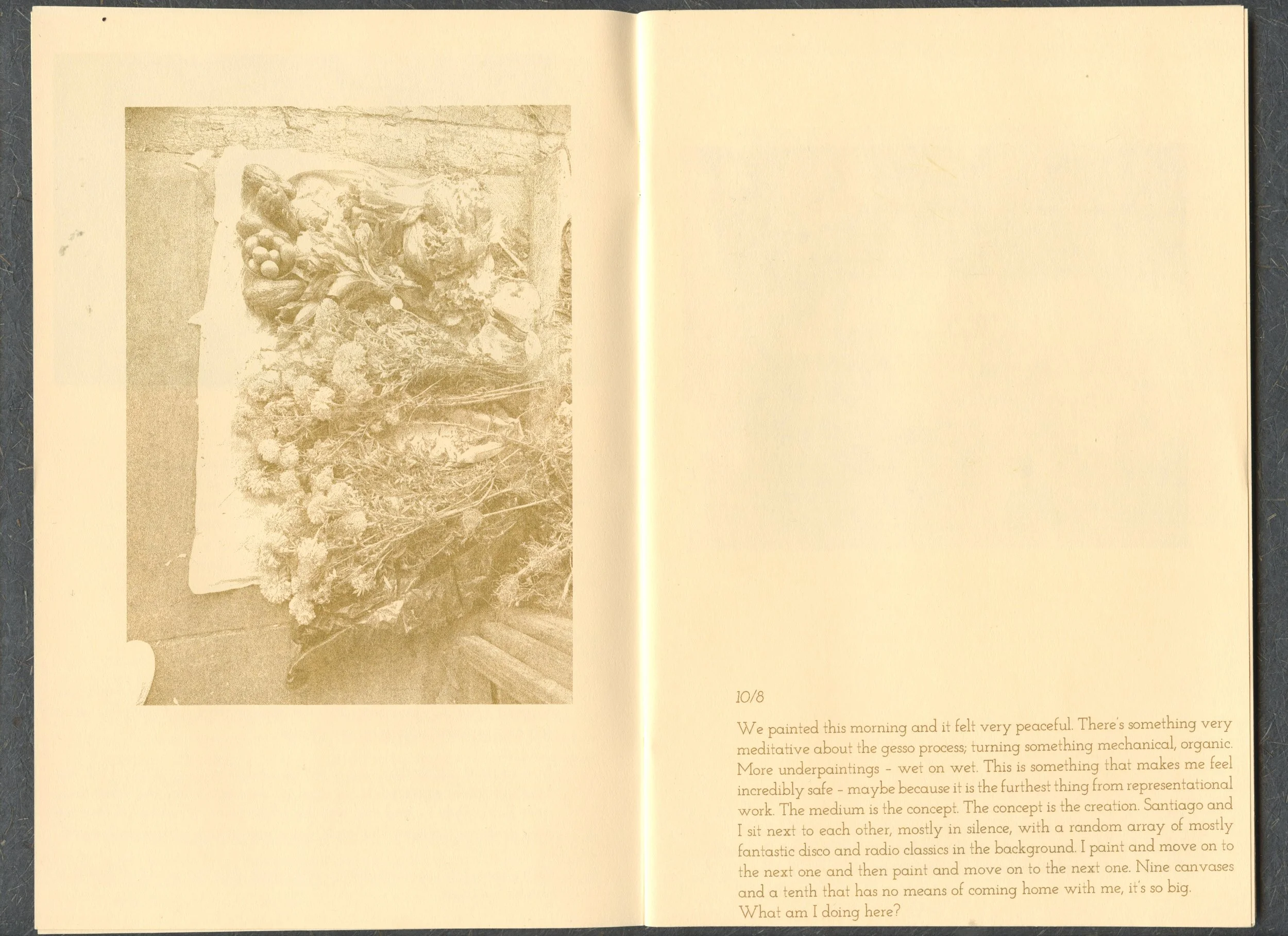 p6.jpg