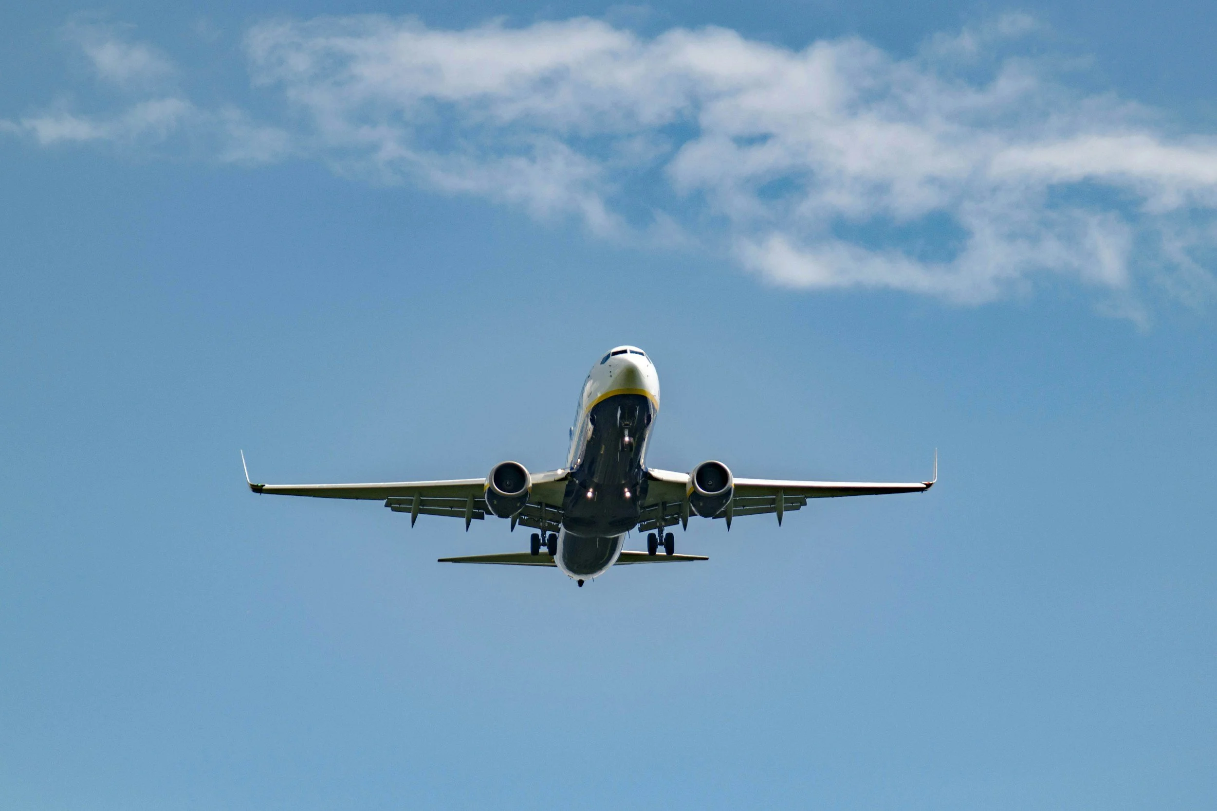 How to Safely Remove Bug Buildup, Resin, and Tar From Aircraft Surfaces