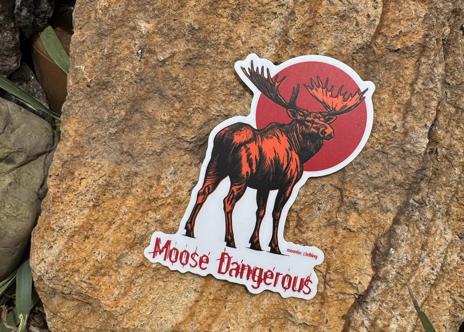 moose_dangerous_2.jpg