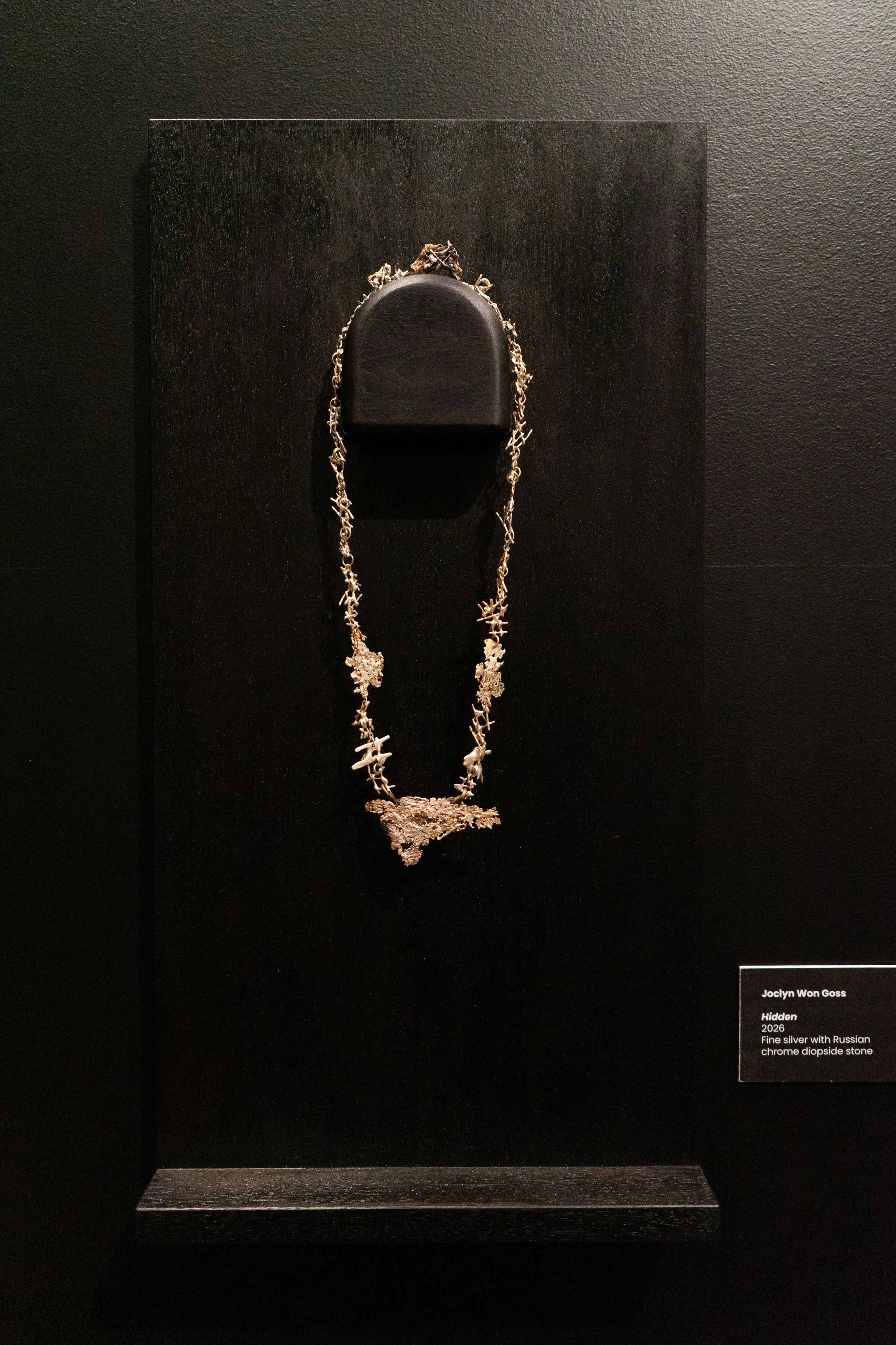 Joclyn-MFA-Exhibition-9.jpg