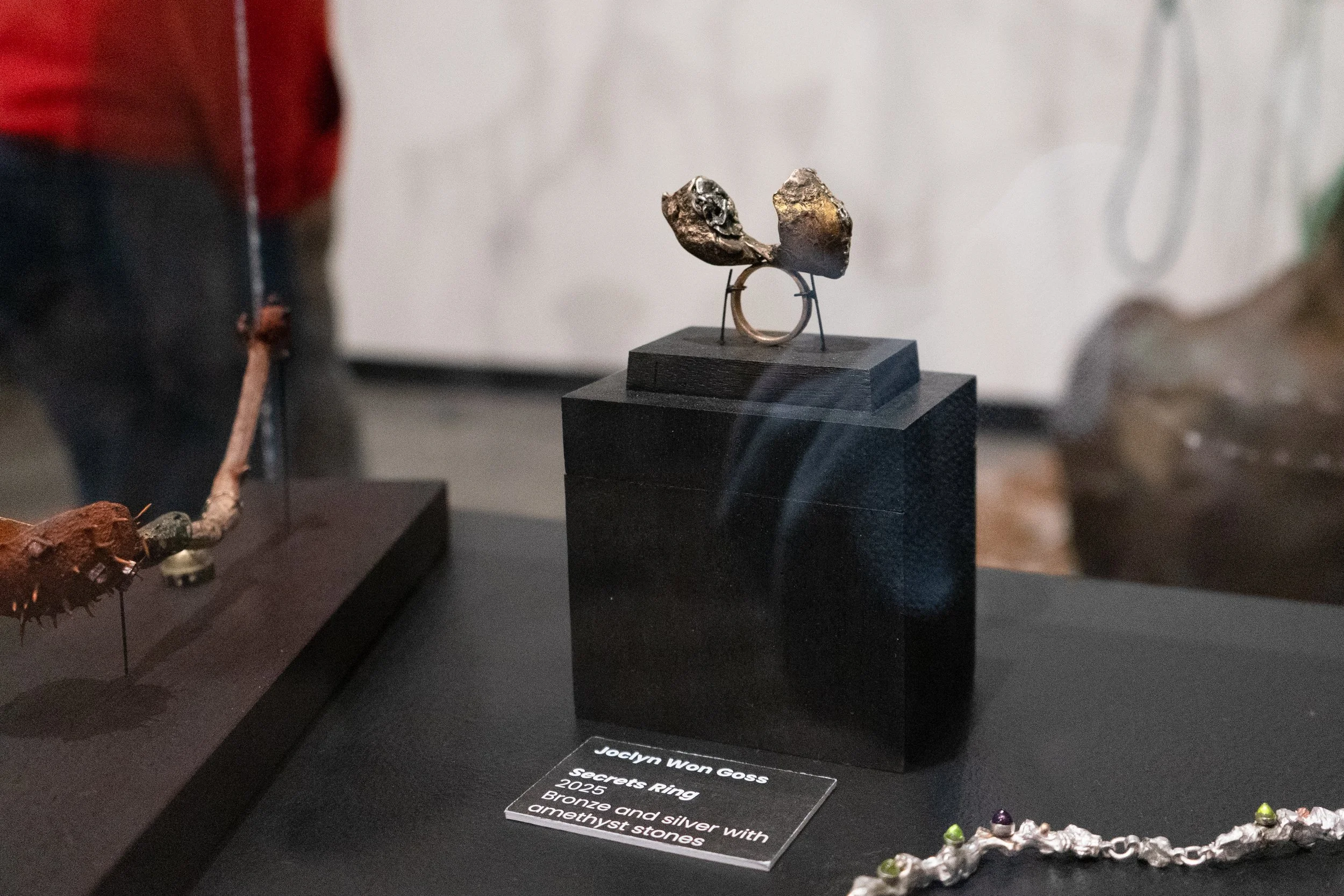 Joclyn-MFA-Exhibition-21.jpg