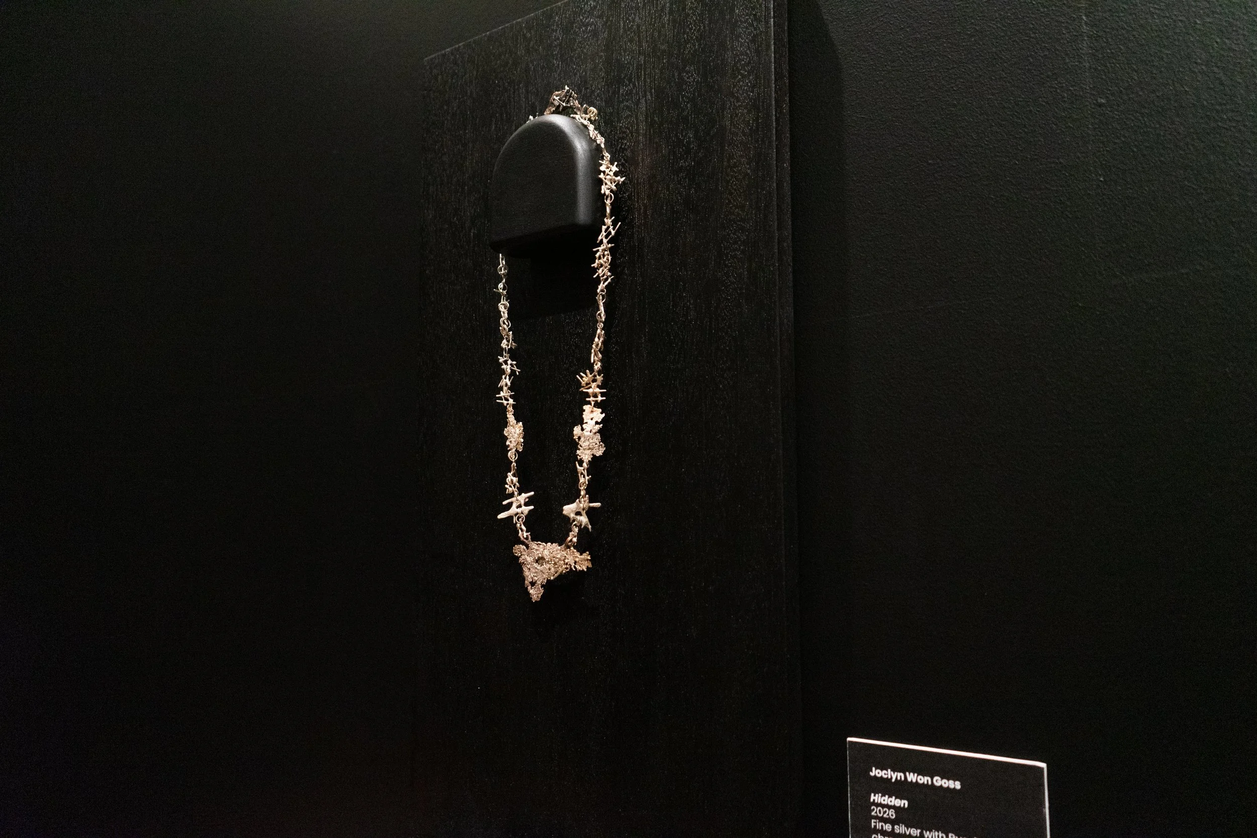 Joclyn-MFA-Exhibition-8.jpg