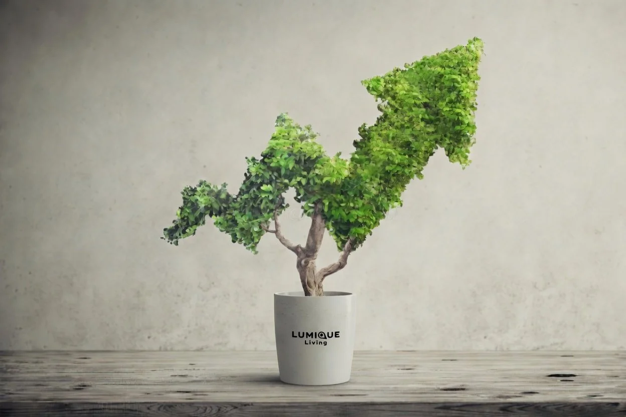 Grow with Lumique