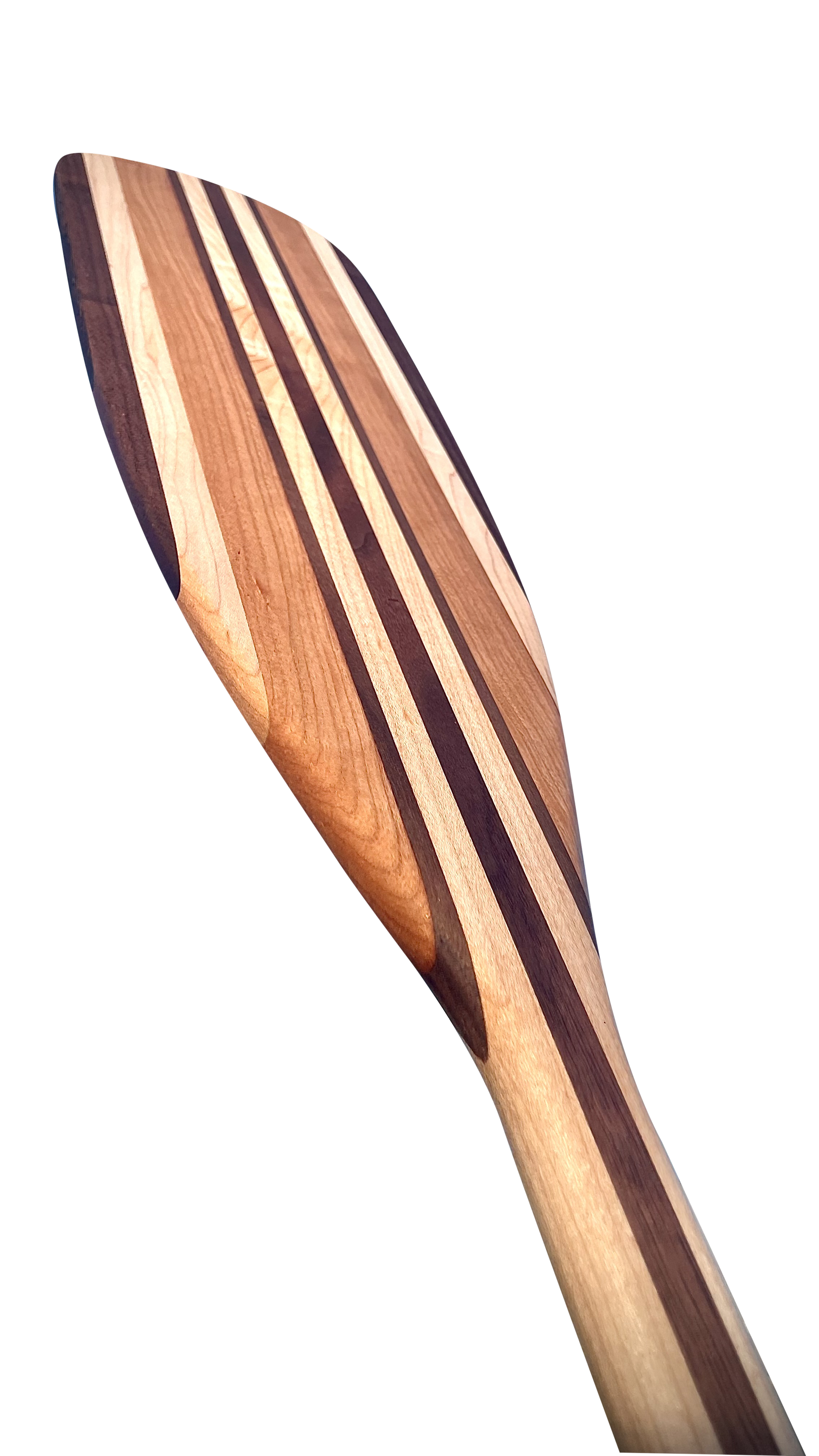 Paddle 1.png