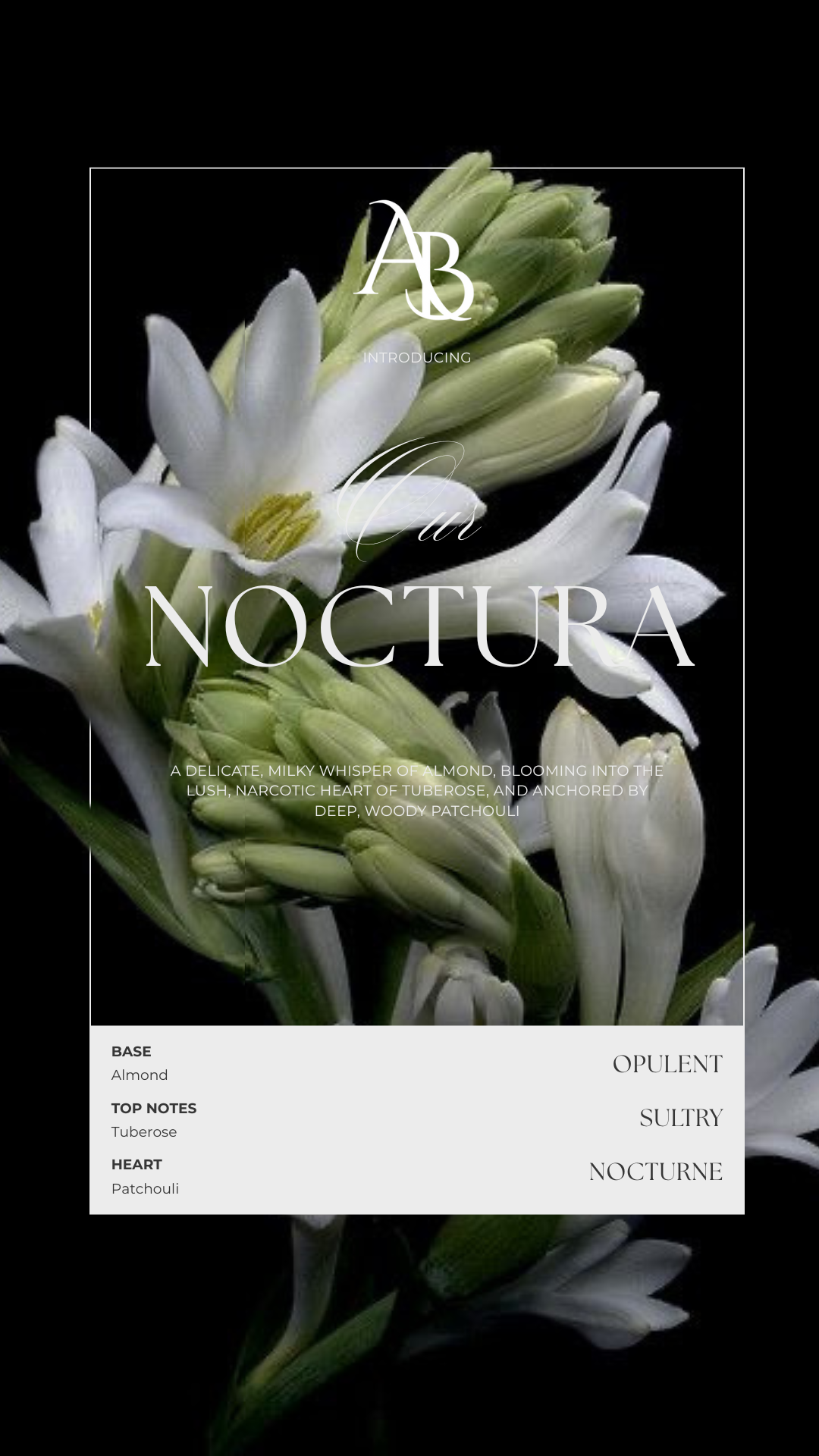 Close-up of white flowers with green buds against a black background, with text overlay describing a fragrance called 'Noctura' featuring almond, tuberose, and patchouli notes.