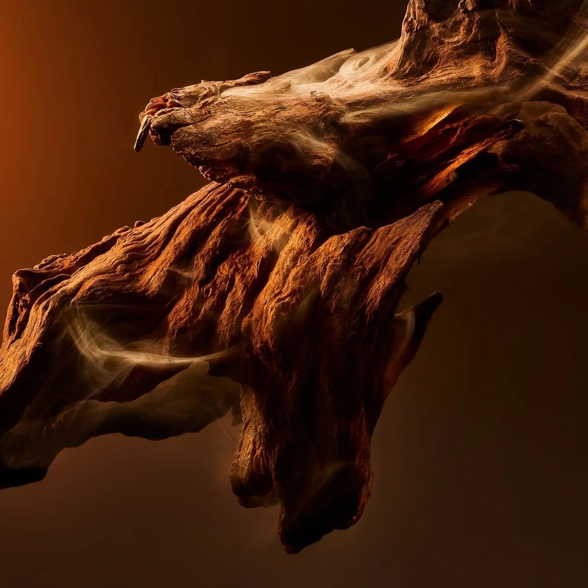 Close-up of a twisted, gnarled piece of driftwood with wisps of smoke or mist around it, set against a dark brown background.