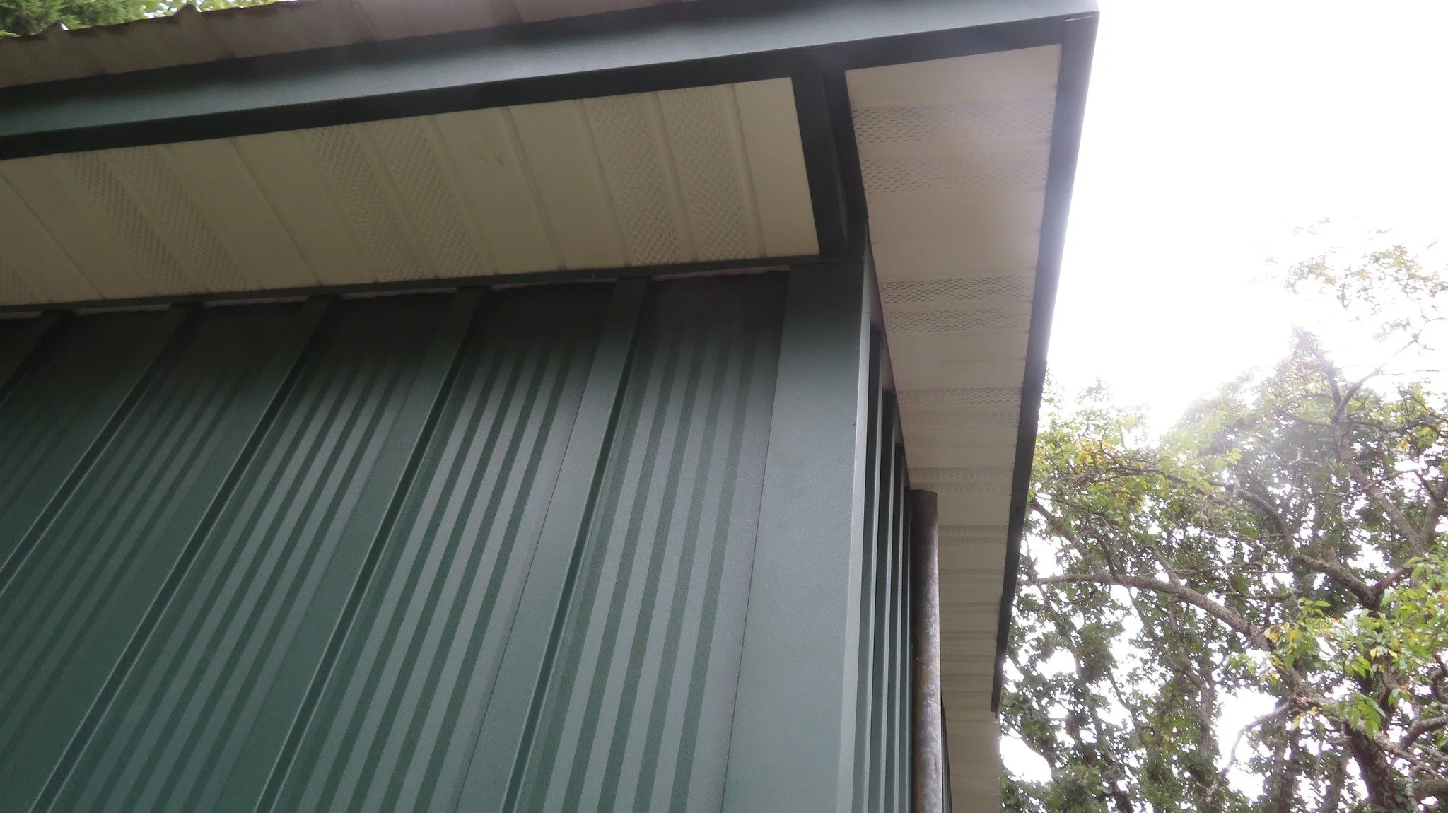 Eaves.jpg