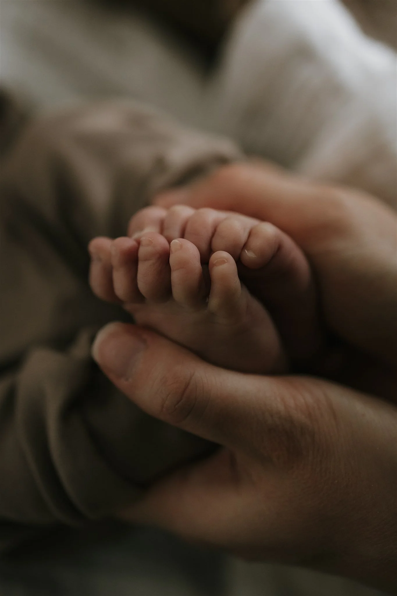 Nicole Chino Photography- Cam Newborn-1529.jpg