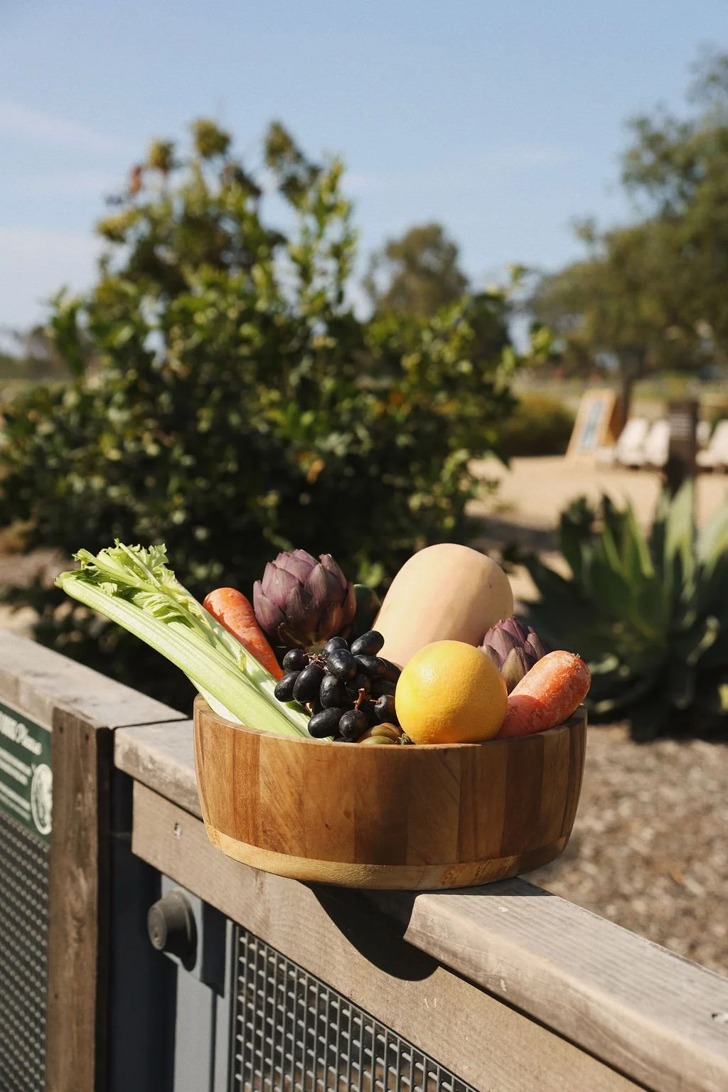 private chef san diego