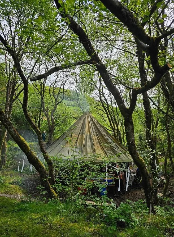 A tent with beige fabric in a wooded area, surrounded by green trees and bushes, with outdoor chairs and tables underneath.