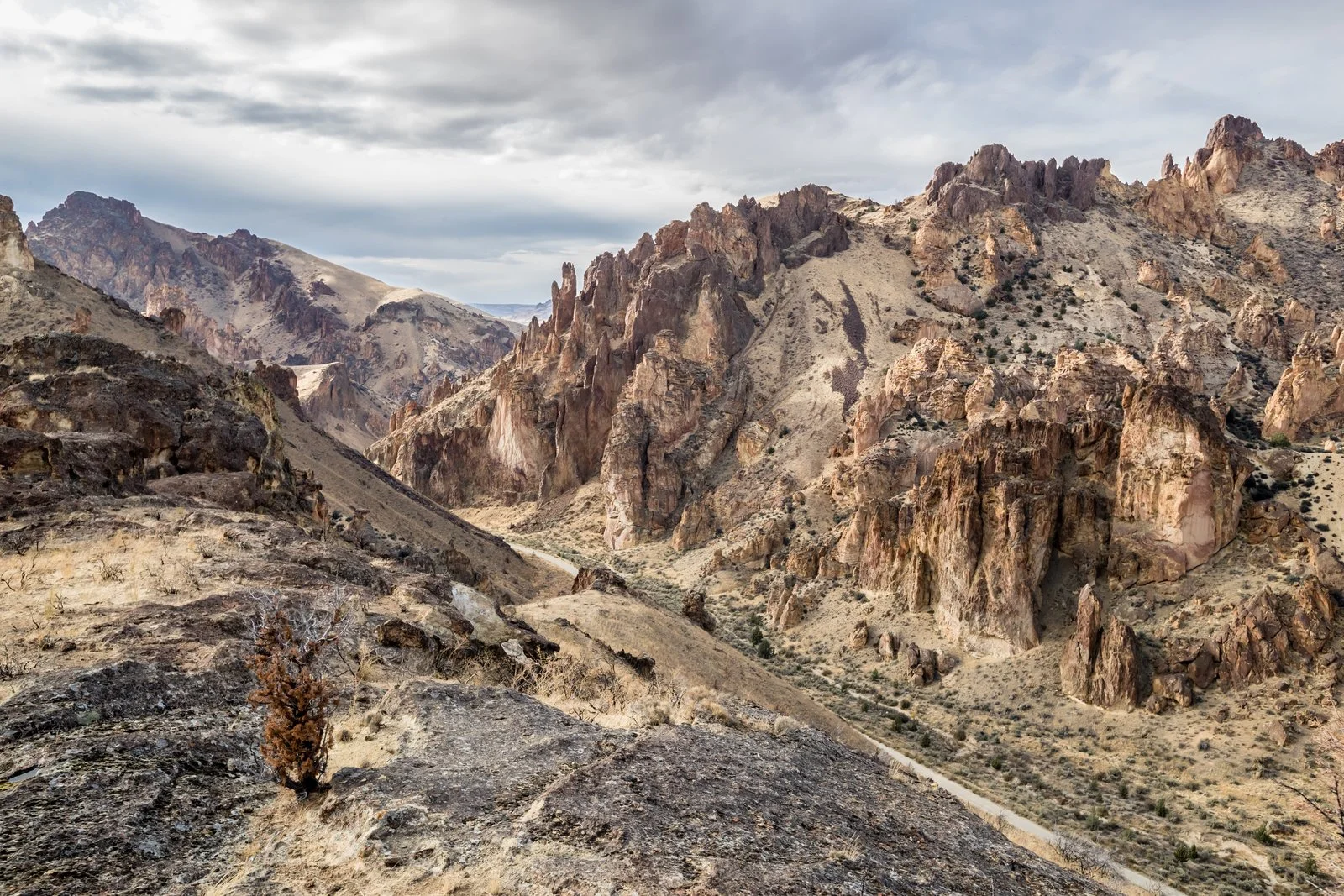 Landscape of a canyon in the Owyhee Canyonlands featured in the Golden film, photographed by Fieldborn Creative.