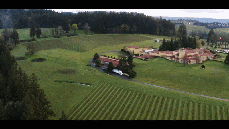 gif-wine-oregon