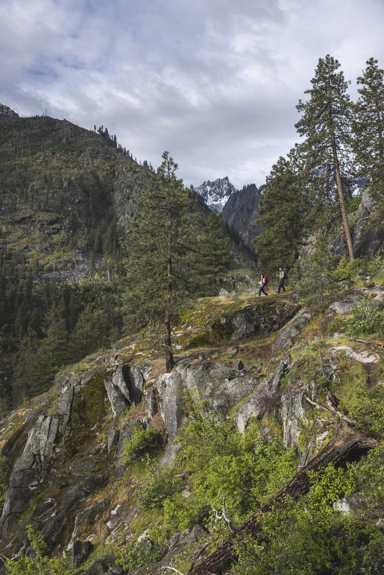 Two hikers walking along a rocky trail in a mountainous forest with pine trees and snow-capped peaks in the background.