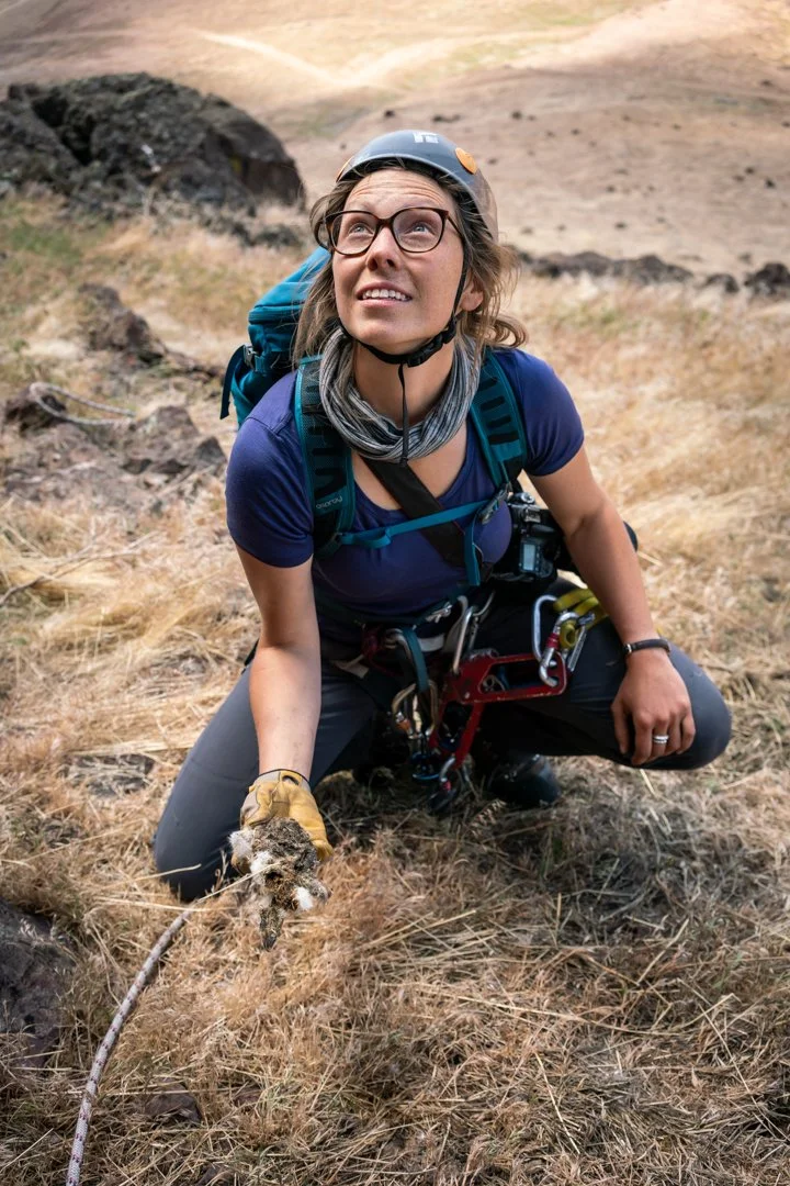 Caitlin Davis holding a deceased golden eagle chick near its nest on the ground during filming of the Golden project in Idaho, photographed by Fieldborn Creative.