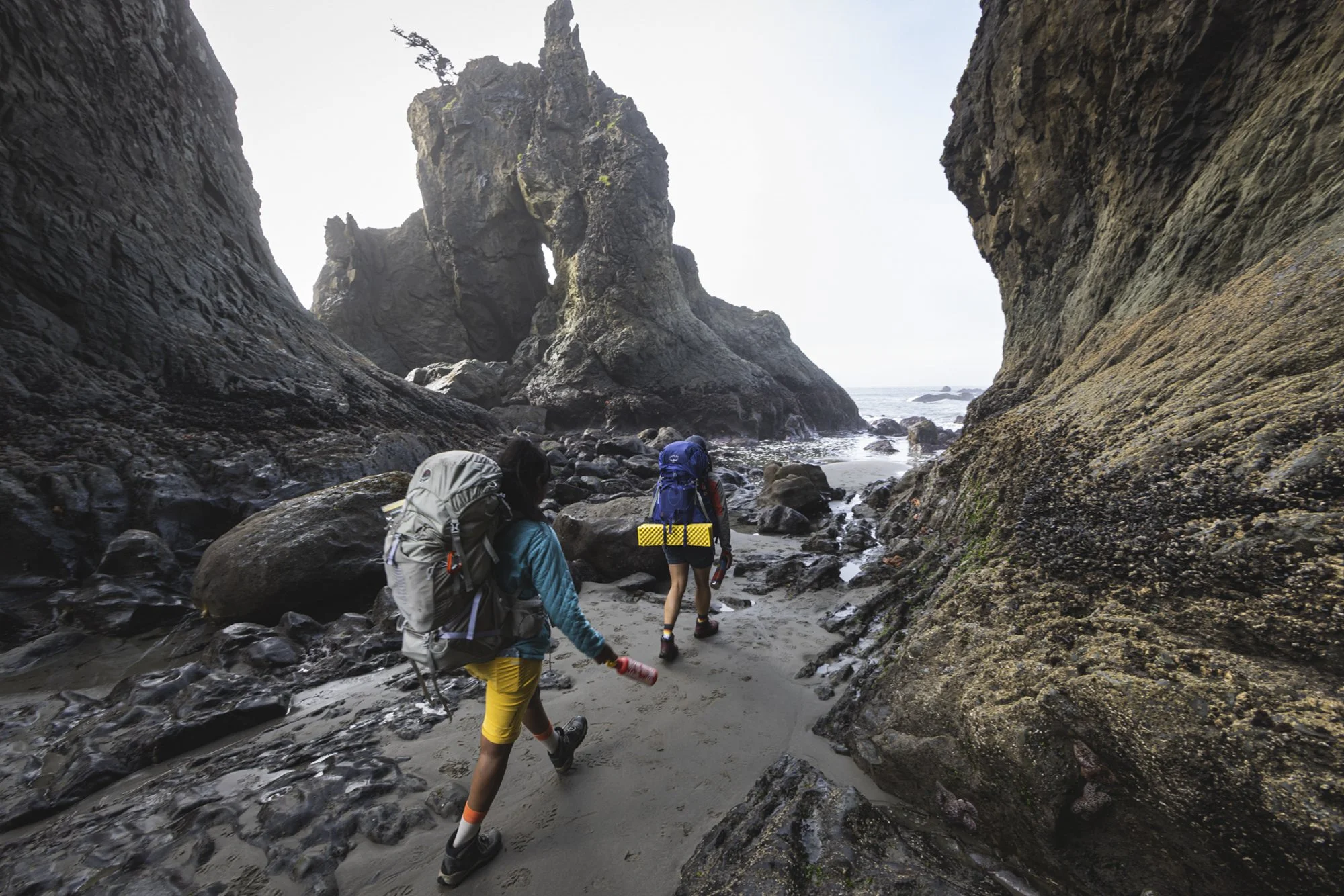 Backpackers exploring rock formations along the coast at Rialto Beach, Washington on their way to camp, photographed by Fieldborn Creative.