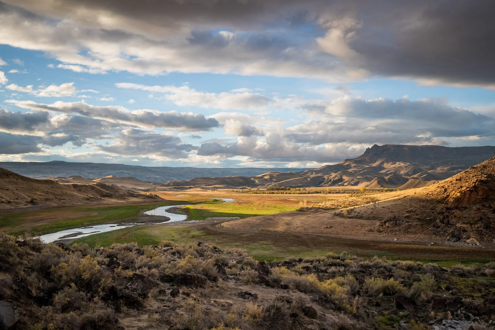 Landscape of the Owyhee Canyonlands featured in the Golden film, photographed by Fieldborn Creative.