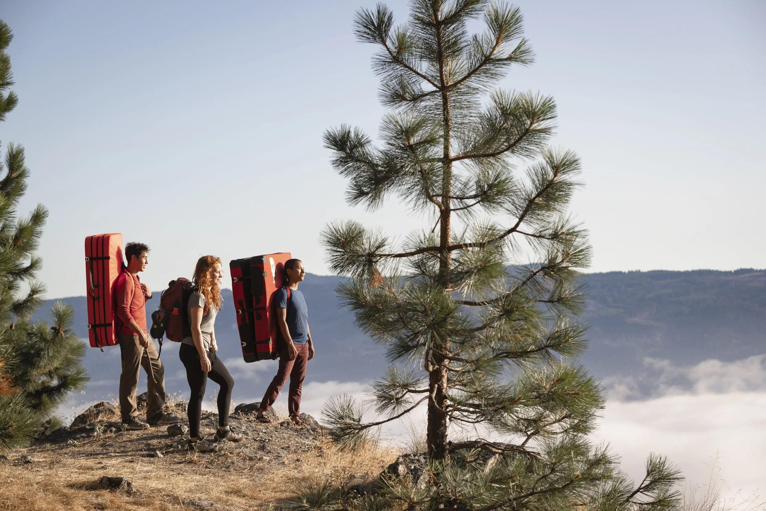 Three hikers carrying large backpacks walking along mountain ridge trail with pine trees and distant mountains, photographed by Fieldborn Creative