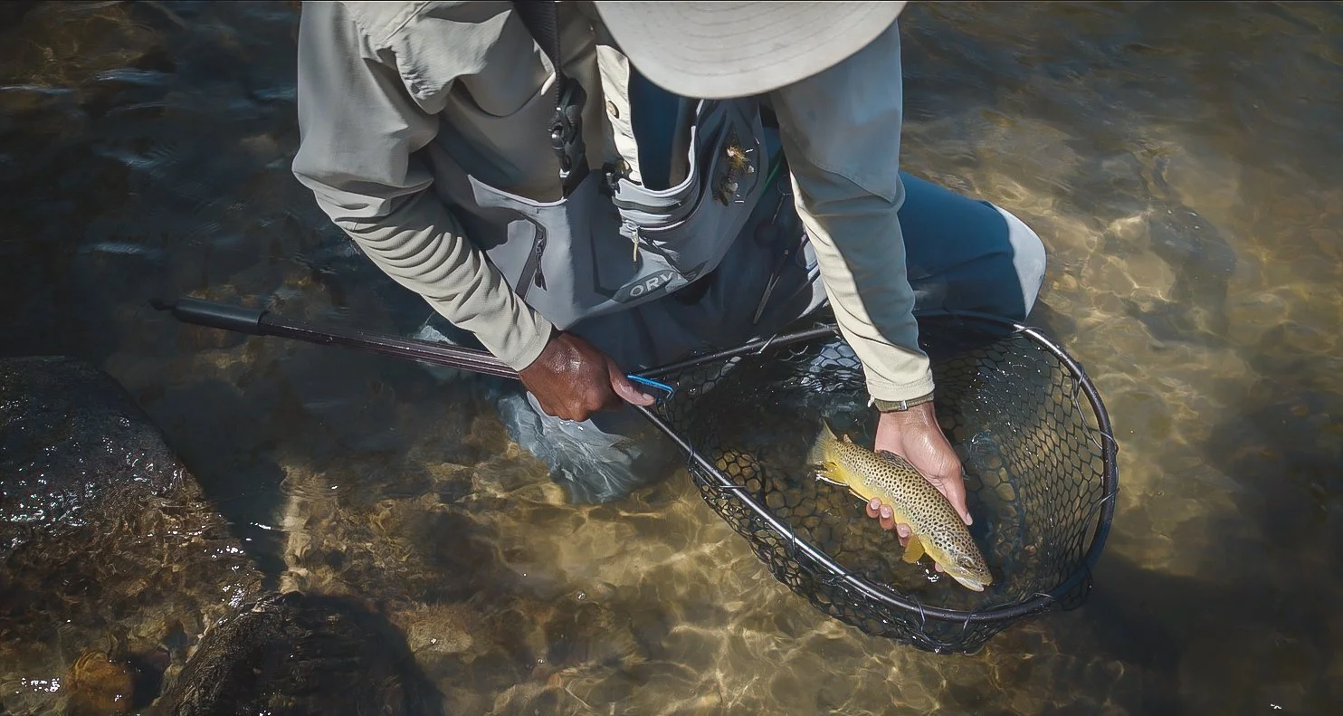 Angler holding a brown trout he just caught while fly fishing, photographed for the Punchline film project with Protect Our Winters, TinCup Whiskey, and Klean Kanteen by Fieldborn Creative.