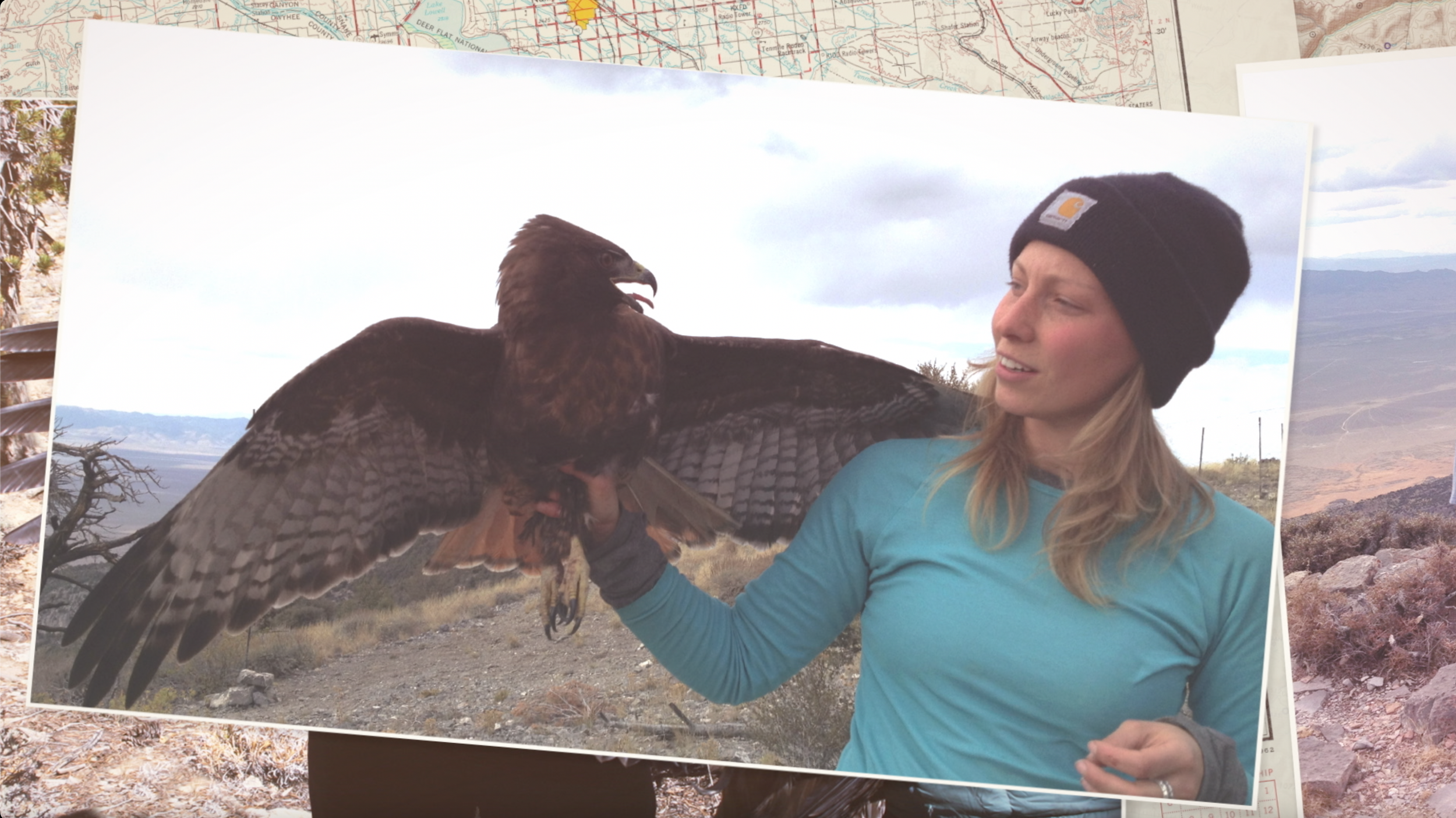 Portrait of Caitlin Davis holding a golden eagle during research for the Golden film in Idaho, photographed by Fieldborn Creative.