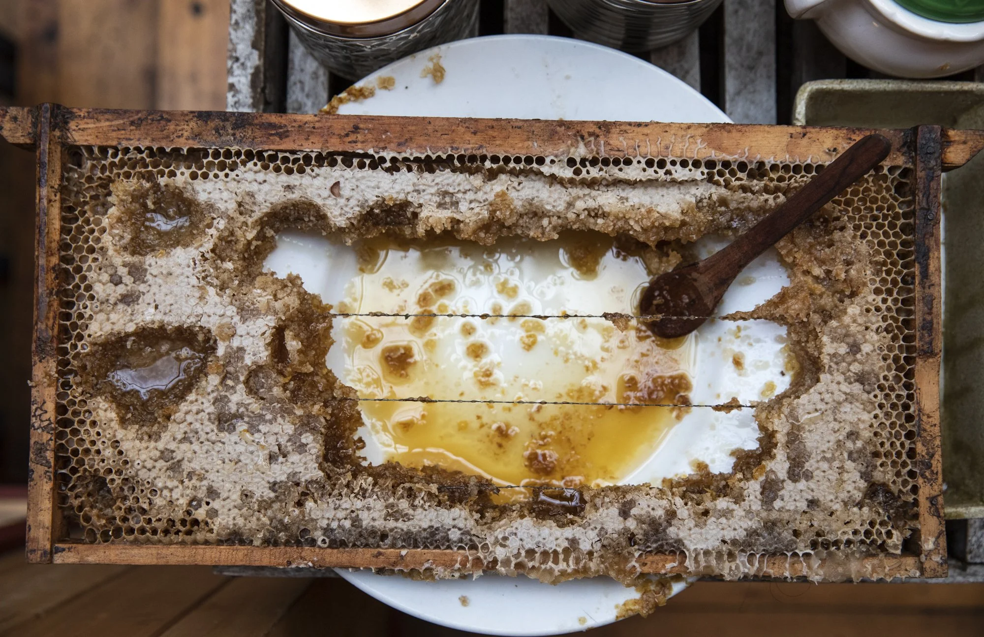 Honey bee honeycomb with comb frame and honey, partially disassembled, on a white plate, with honey drips. Commercial lifestyle production by Fieldborn Creative.
