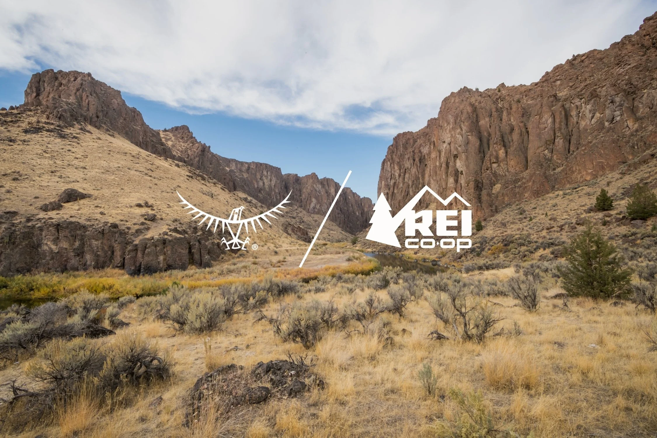 A scenic view of a desert valley with mountains and blue sky, featuring the REI Co-op logo and a stylized eagle logo overlayed on the image.