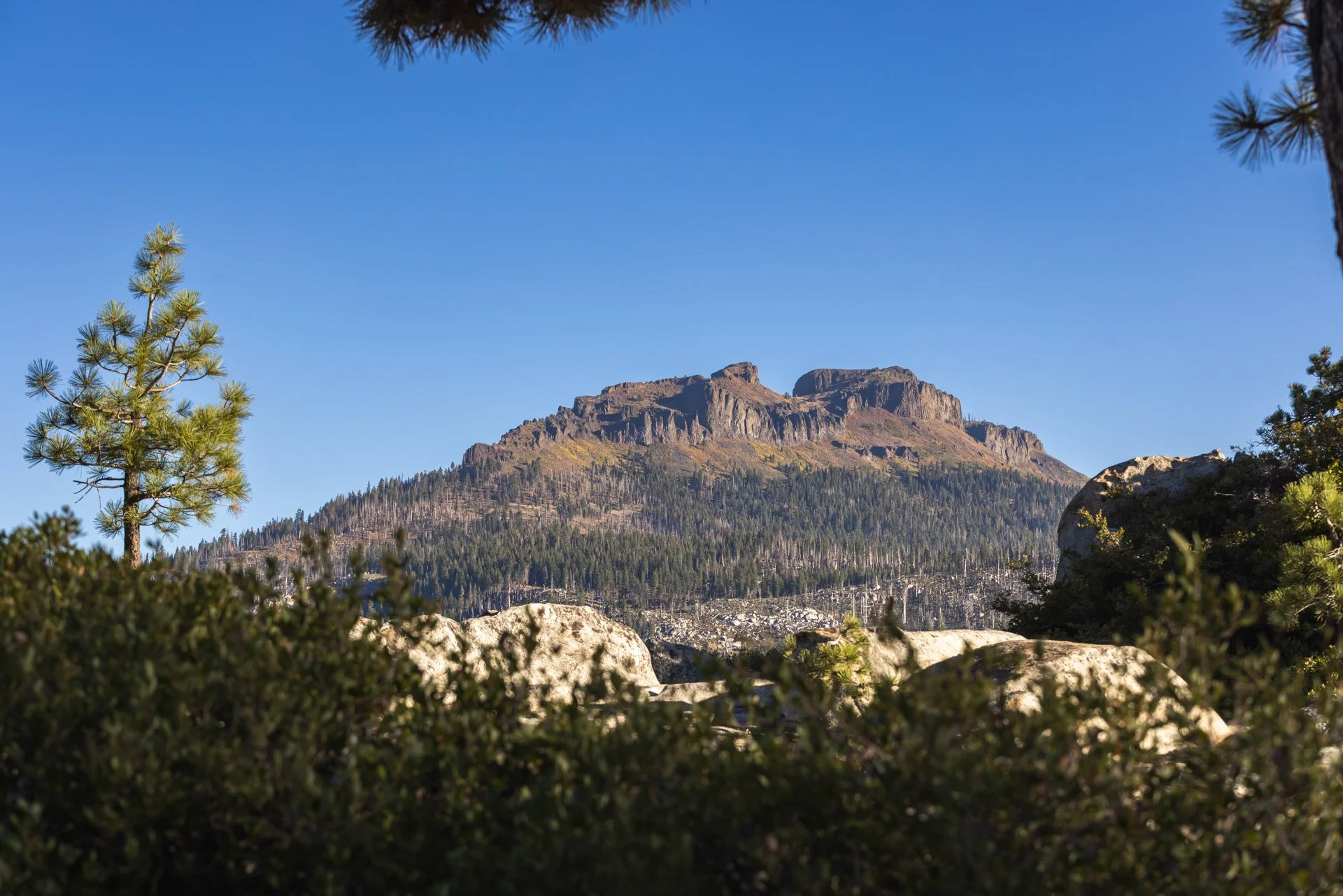 Mountain landscape with rocky peaks, a forested hillside, and a clear blue sky, framed by pine trees and rocks in the foreground, photographed by Fieldborn Creative.