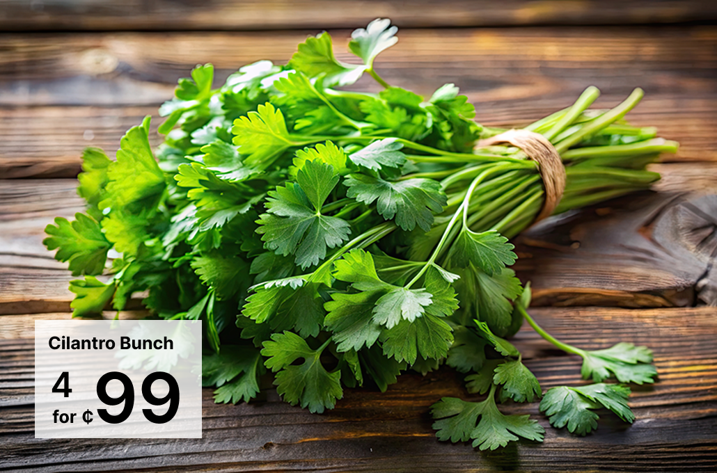 Cilantro Bunch