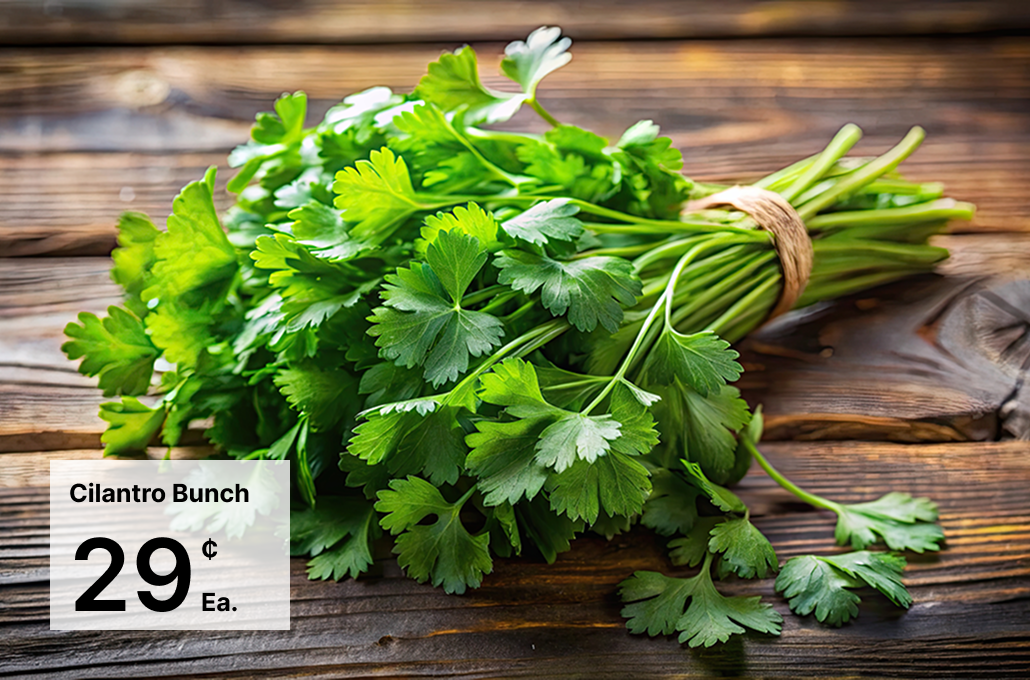 Cilantro Bunch